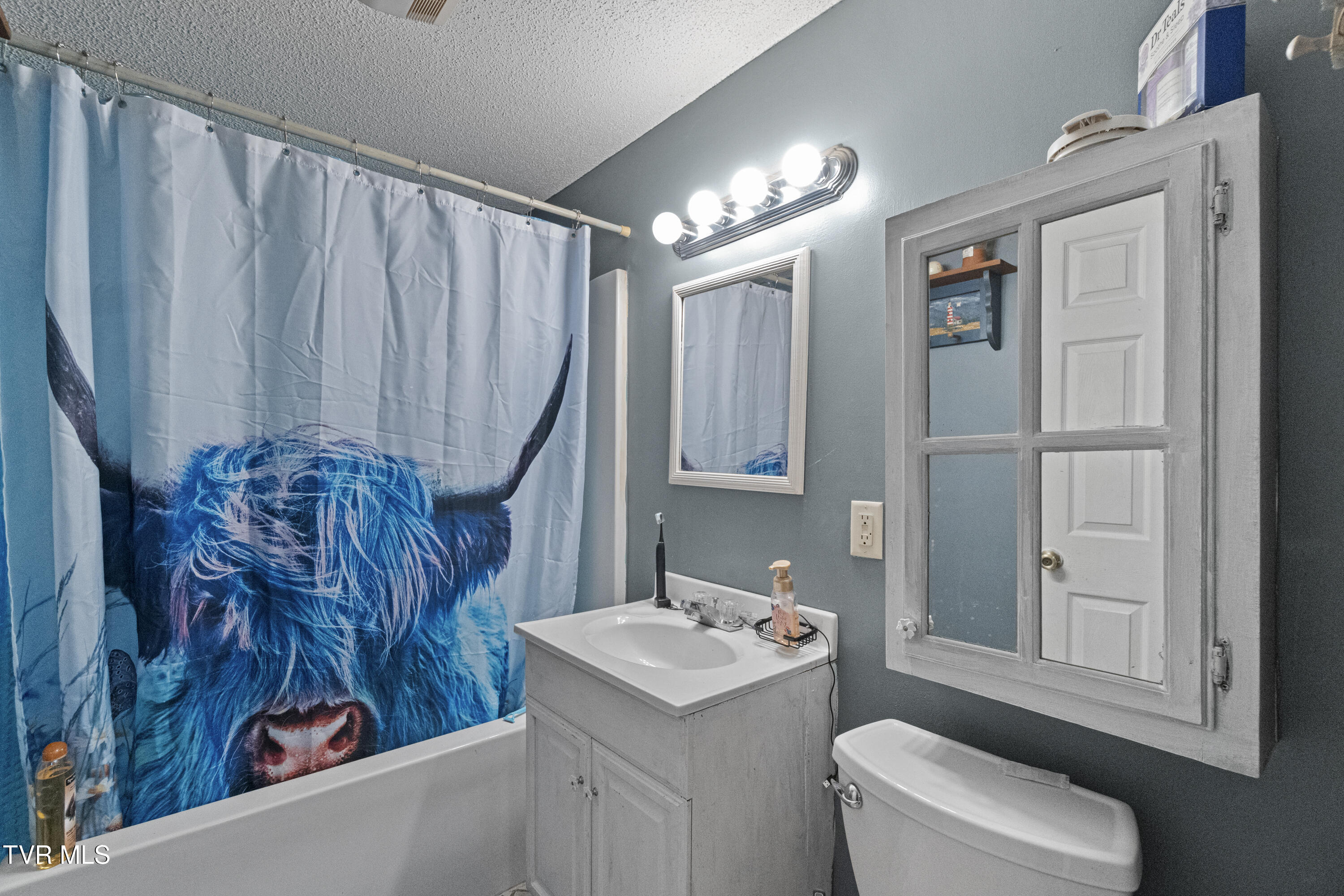 2205 Brown Springs Road Greeneville, TN 37743 - Photo 28 of 44 DSC08210