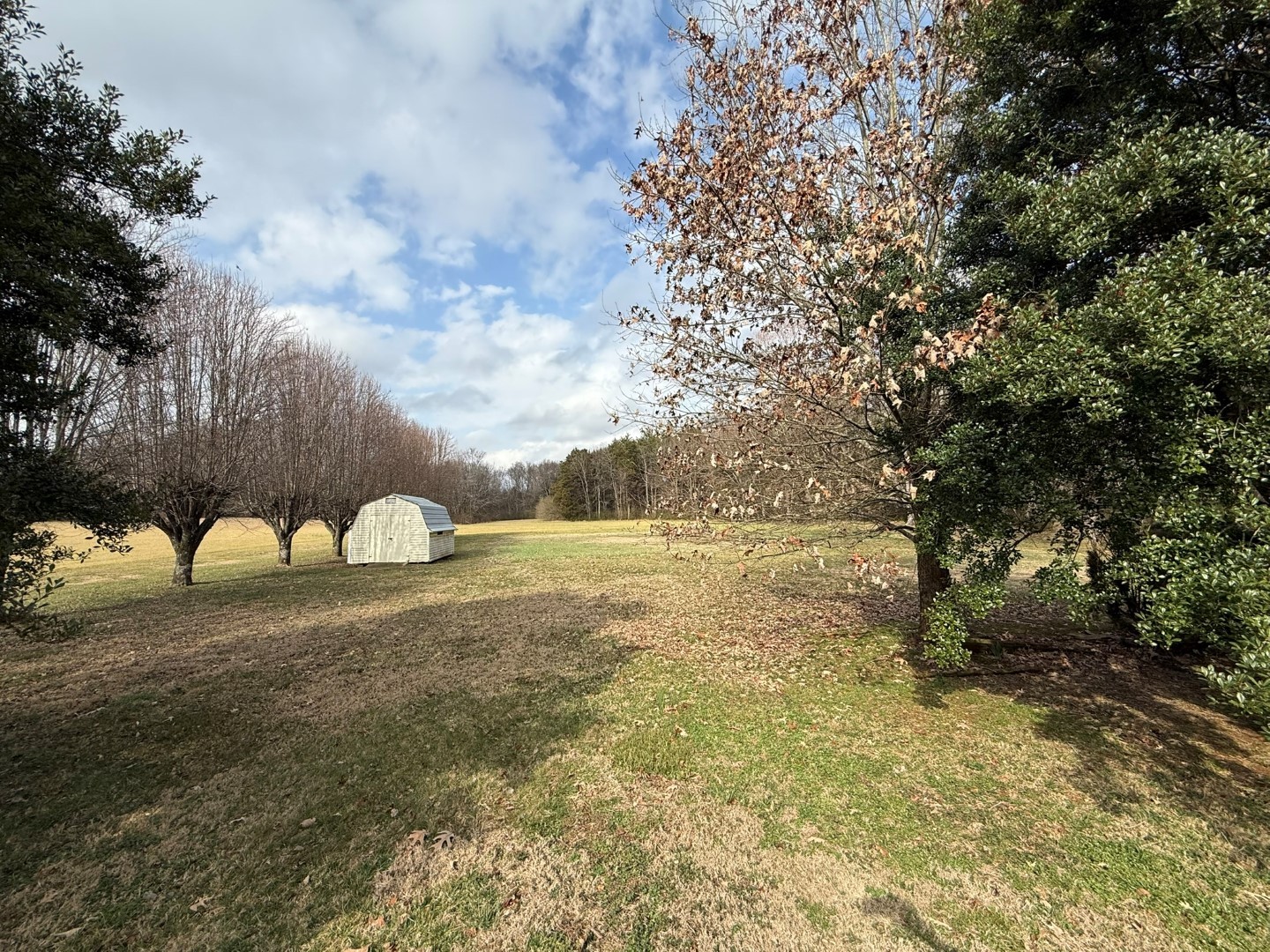 4197 Betty Ford Road Murfreesboro, TN 37130 - Photo 8 of 27 a view of a dry yard with wooden fence