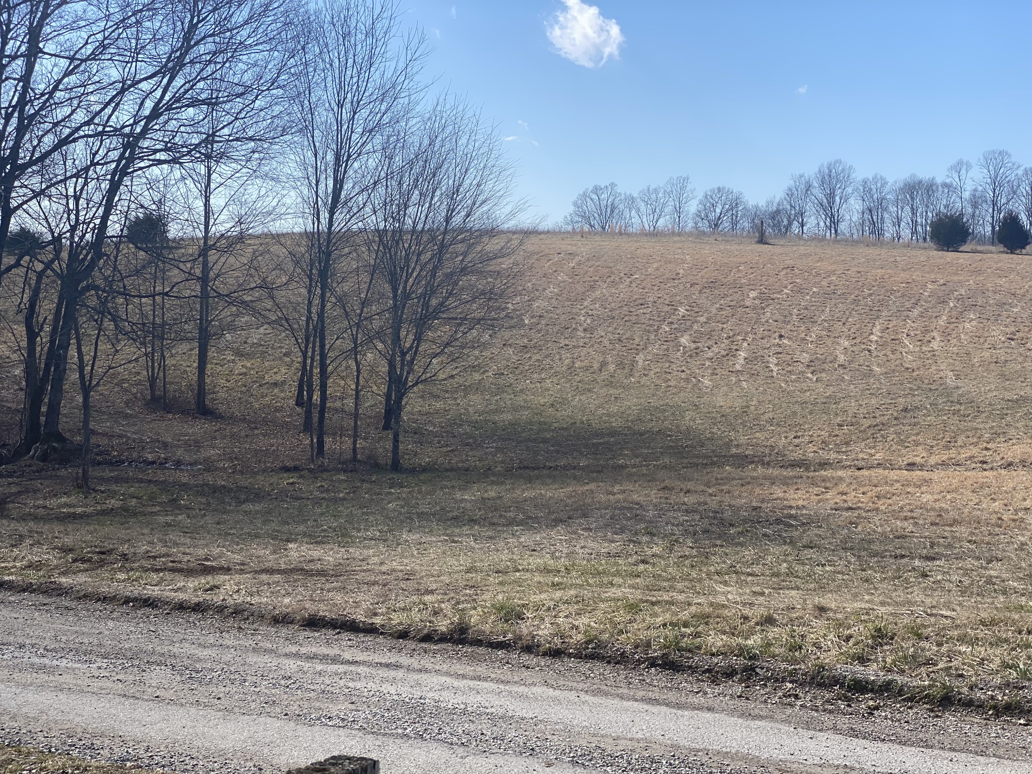 2322 Gas Hollow Road Lafayette, TN 37083 - Photo 3 of 28 Gallery Image 3