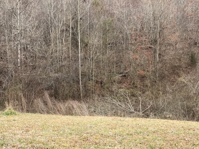 2322 Gas Hollow Road Lafayette, TN 37083 - Photo 25 of 28 Gallery Image 25