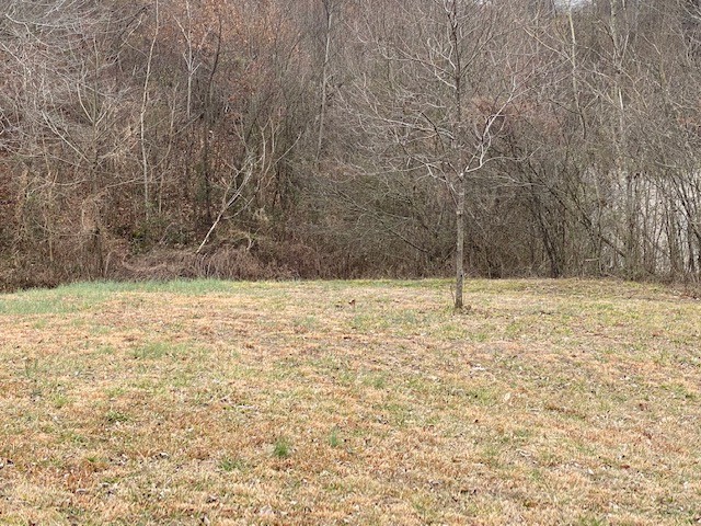 2322 Gas Hollow Road Lafayette, TN 37083 - Photo 26 of 28 Gallery Image 26