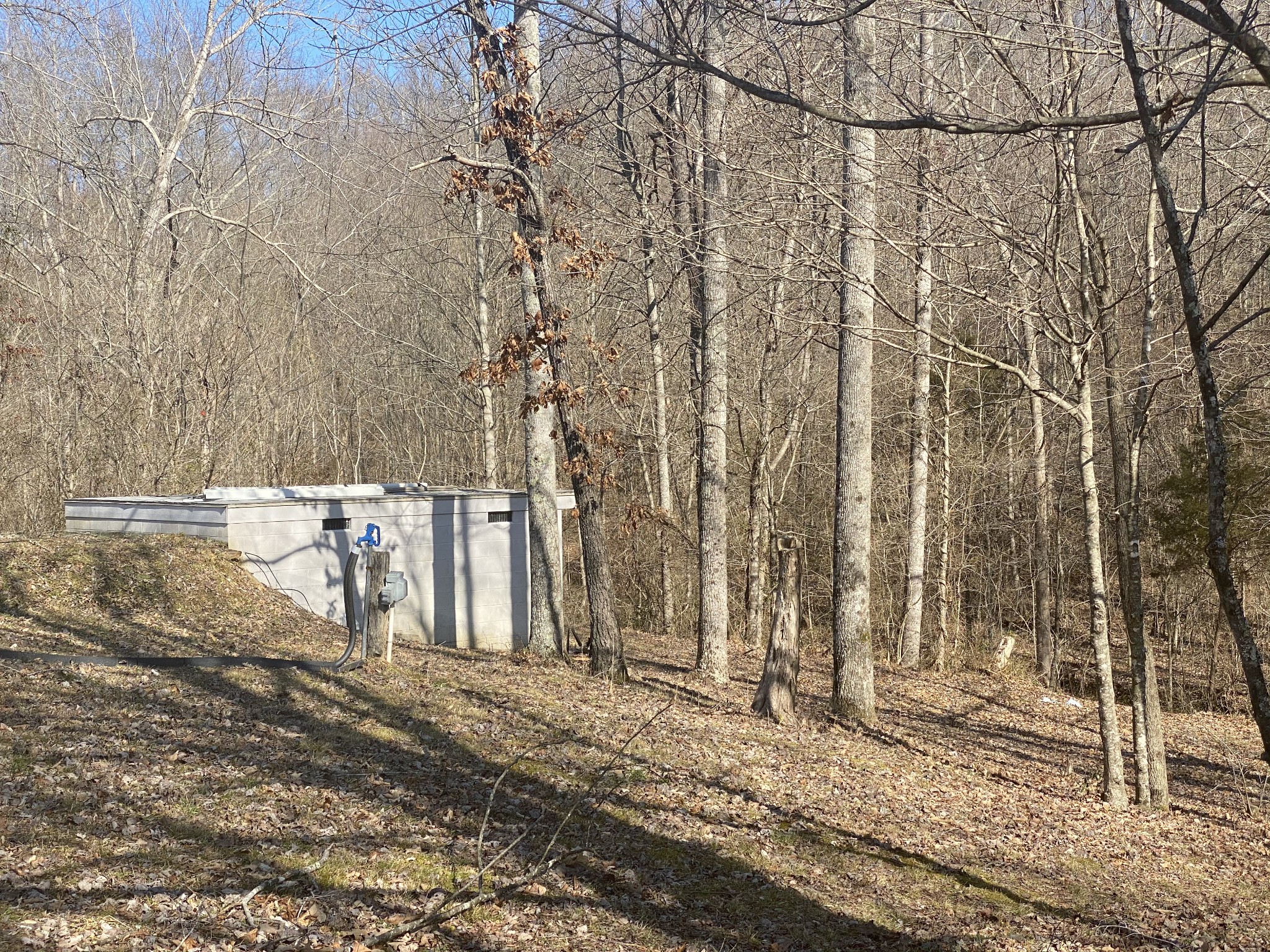 2322 Gas Hollow Road Lafayette, TN 37083 - Photo 6 of 28 Gallery Image 6