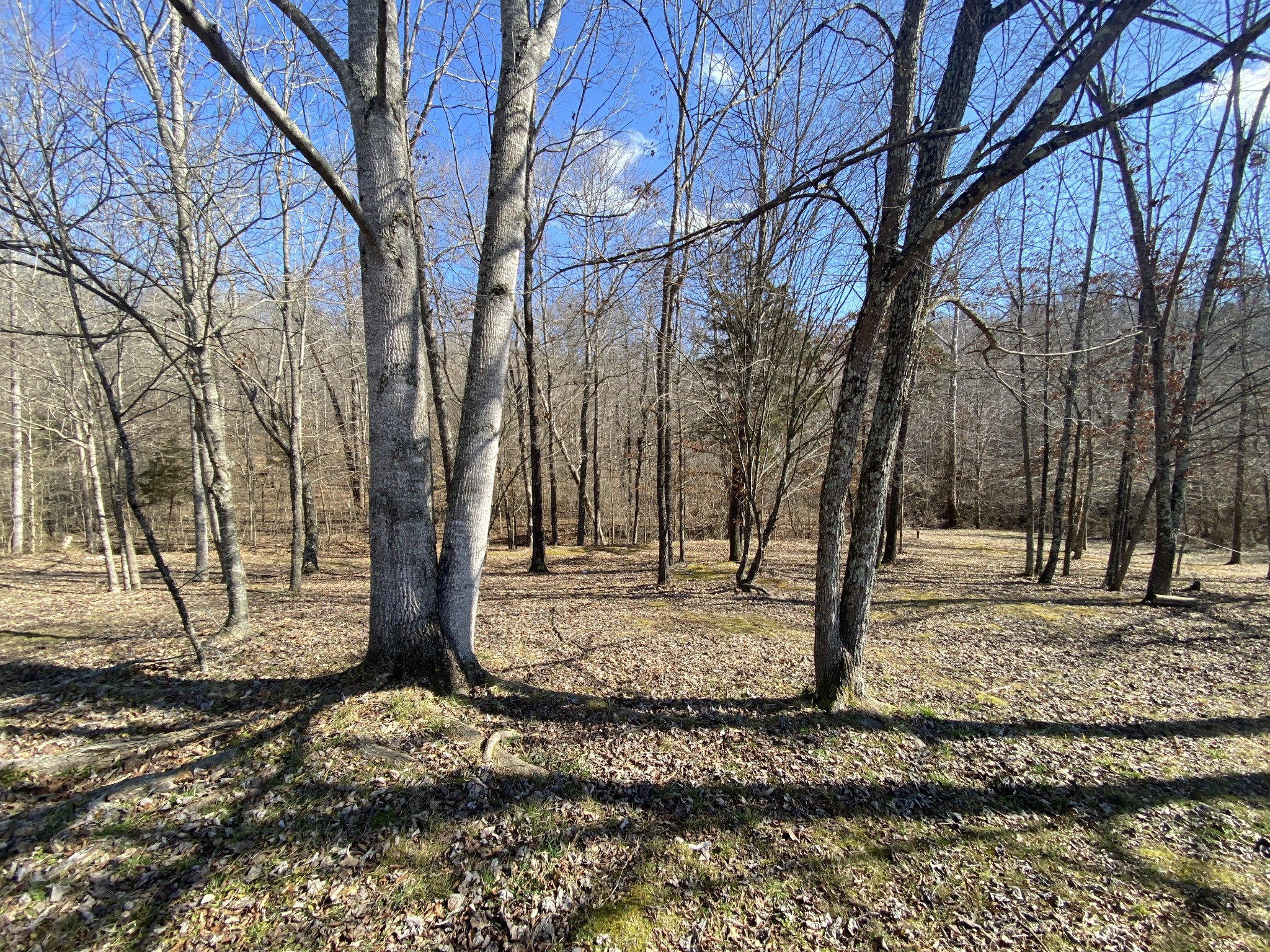 2322 Gas Hollow Road Lafayette, TN 37083 - Photo 10 of 28 Gallery Image 10