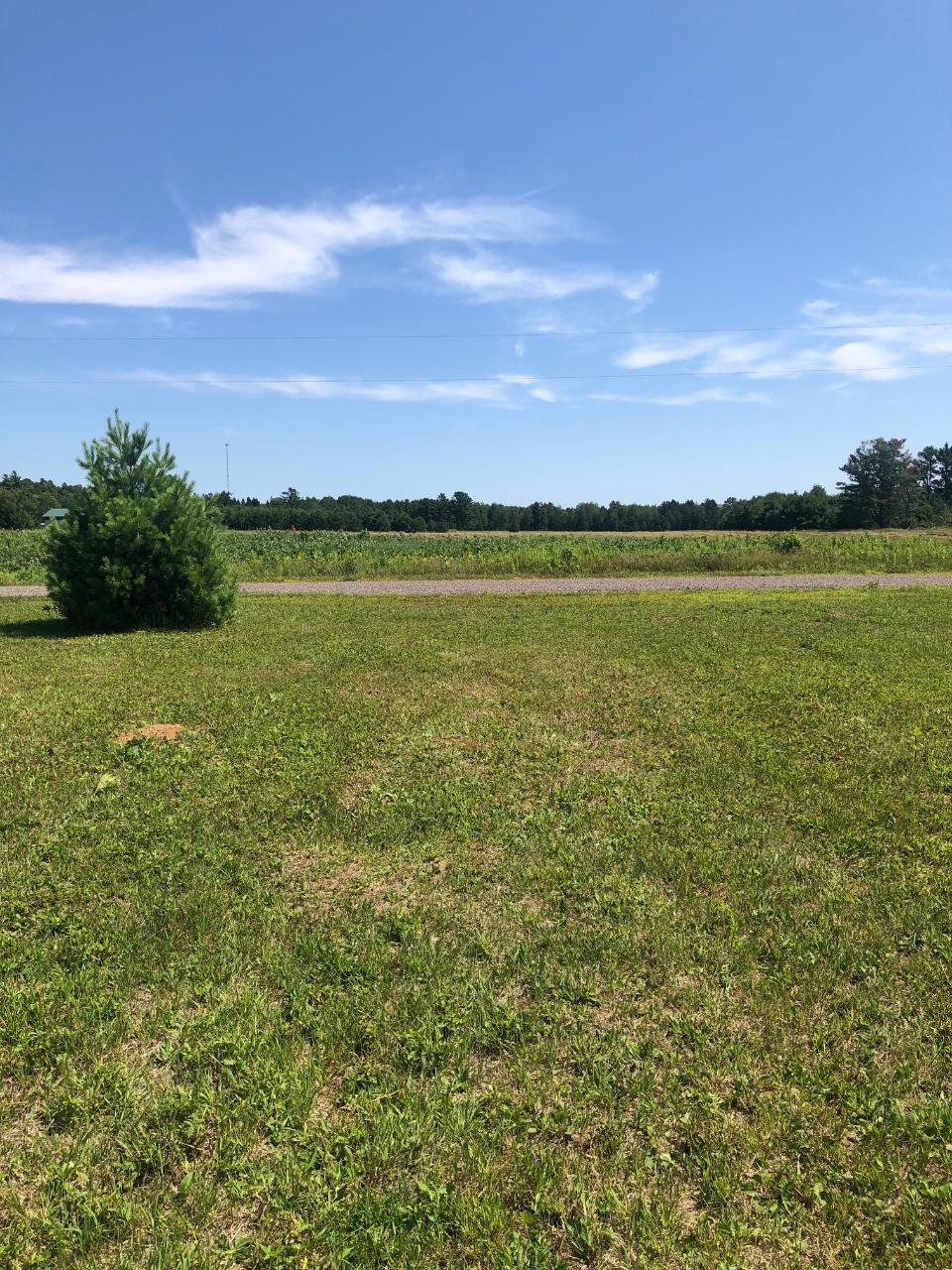 On Boyer Road, Unit LOT 4 Mercer, WI 54547 - Photo 9 of 10 Gallery Image 9