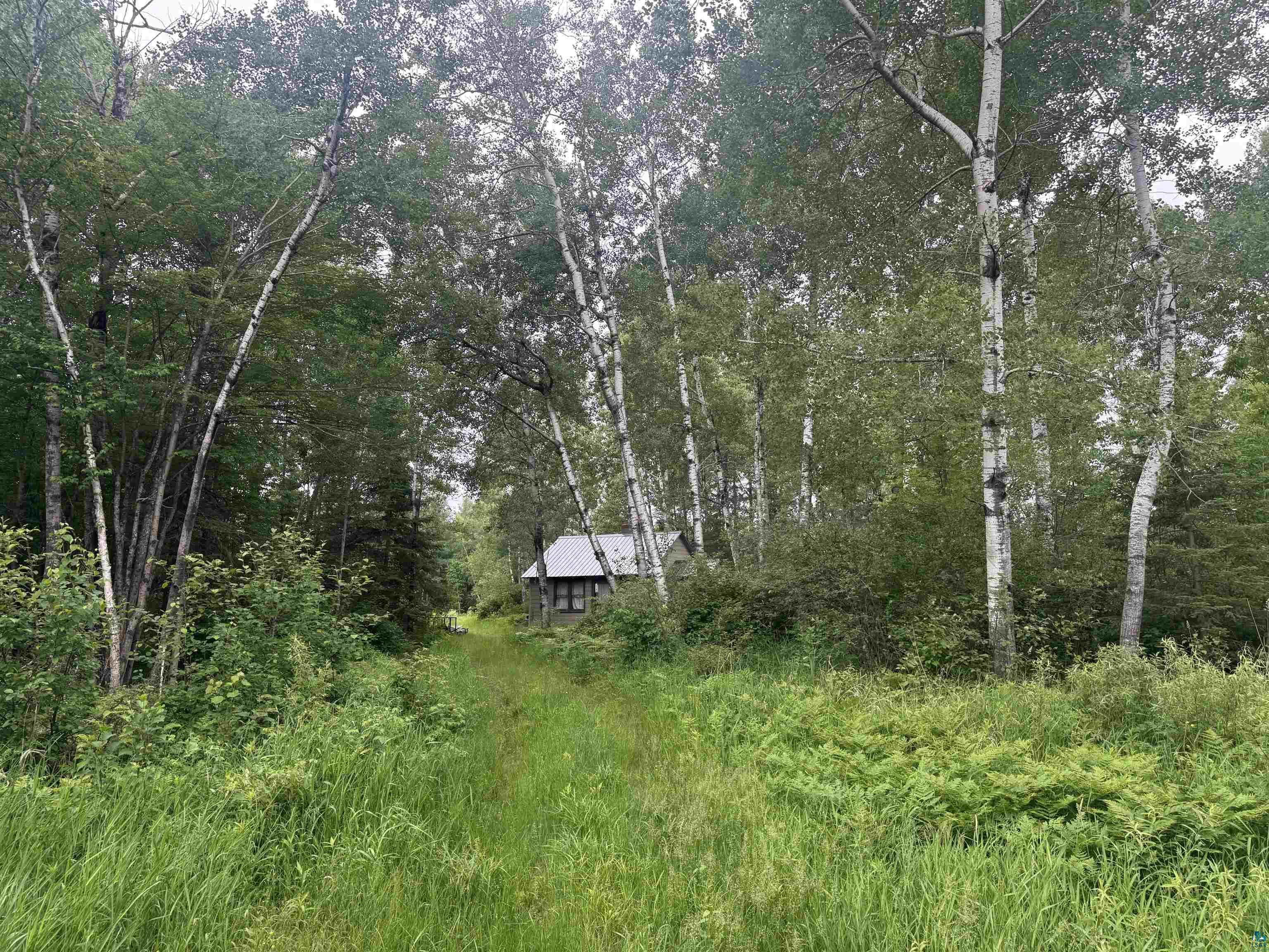 33-xx Quaal Road Forbes, MN 55738 - Photo 19 of 56 Gallery Image 19