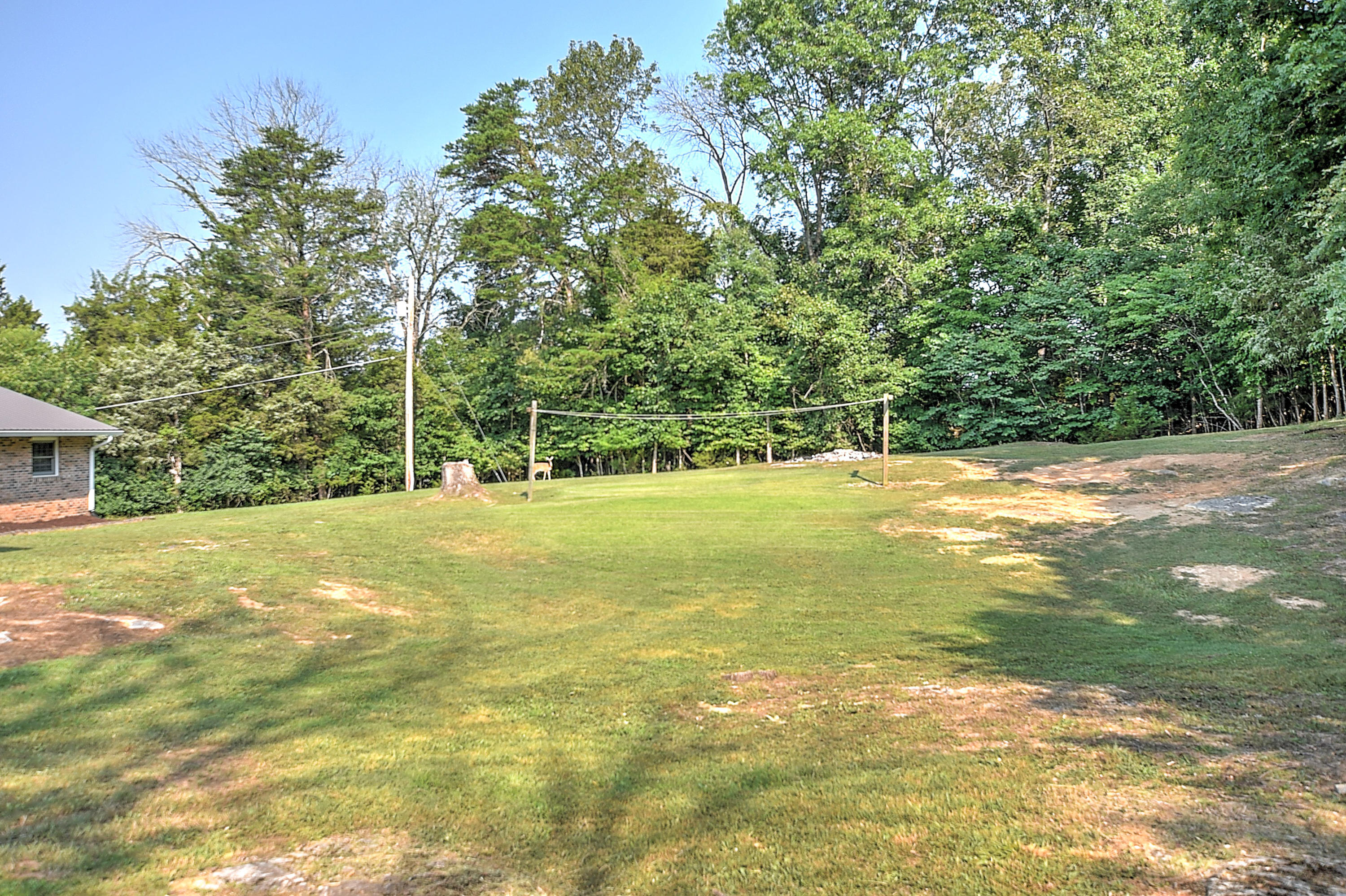 349 Combs Road Bluff City, TN 37618 - Photo 57 of 64 349 Combs-40