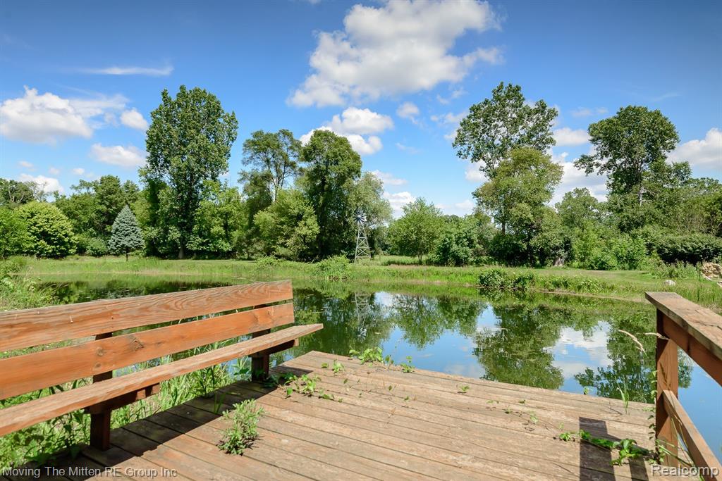 19560 Bush Road Chelsea, MI 48118 - Photo 10 of 48