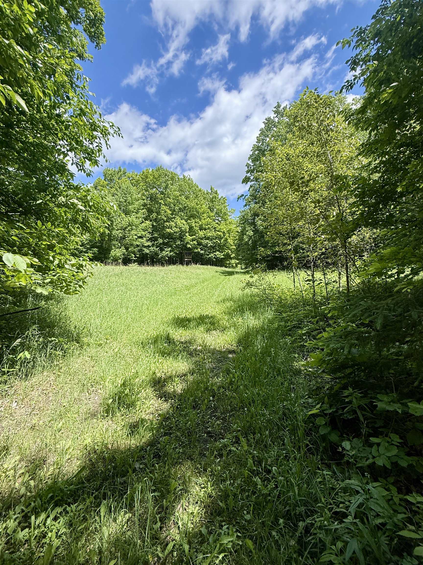 V/l Farrier Road Hillman, MI 49746 - Photo 12 of 26