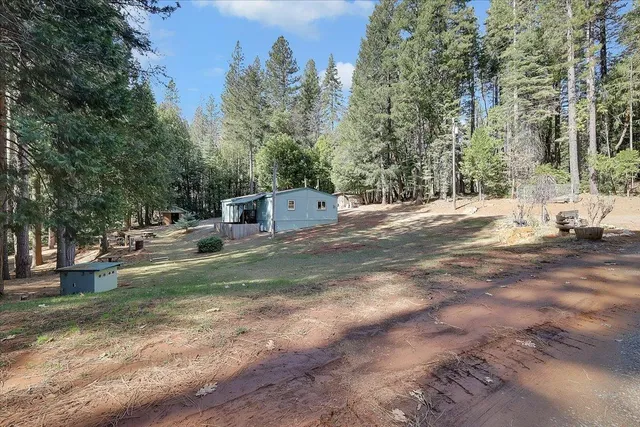 a view of a yard with large trees
