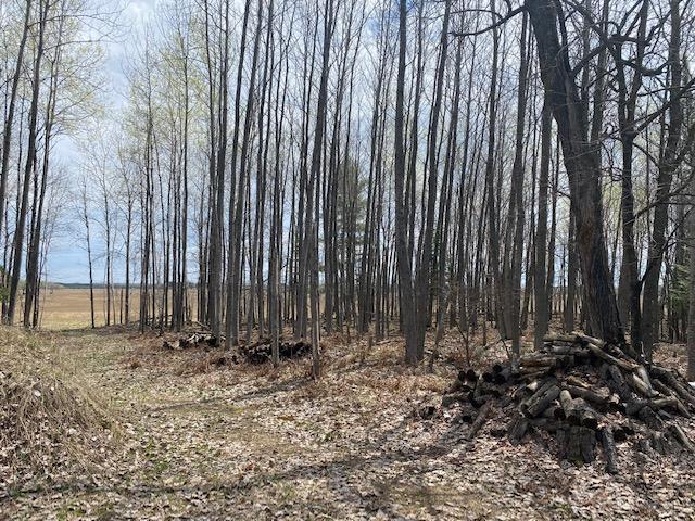 4722 Stella Lake Road Rhinelander, WI 54501 - Photo 10 of 23 Gallery Image 10