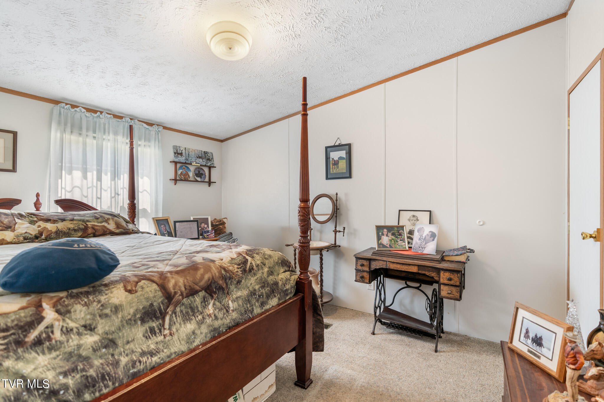 1549 Frank Roberts Road Afton, TN 37616 - Photo 20 of 24 Frank Roberts Rd-10