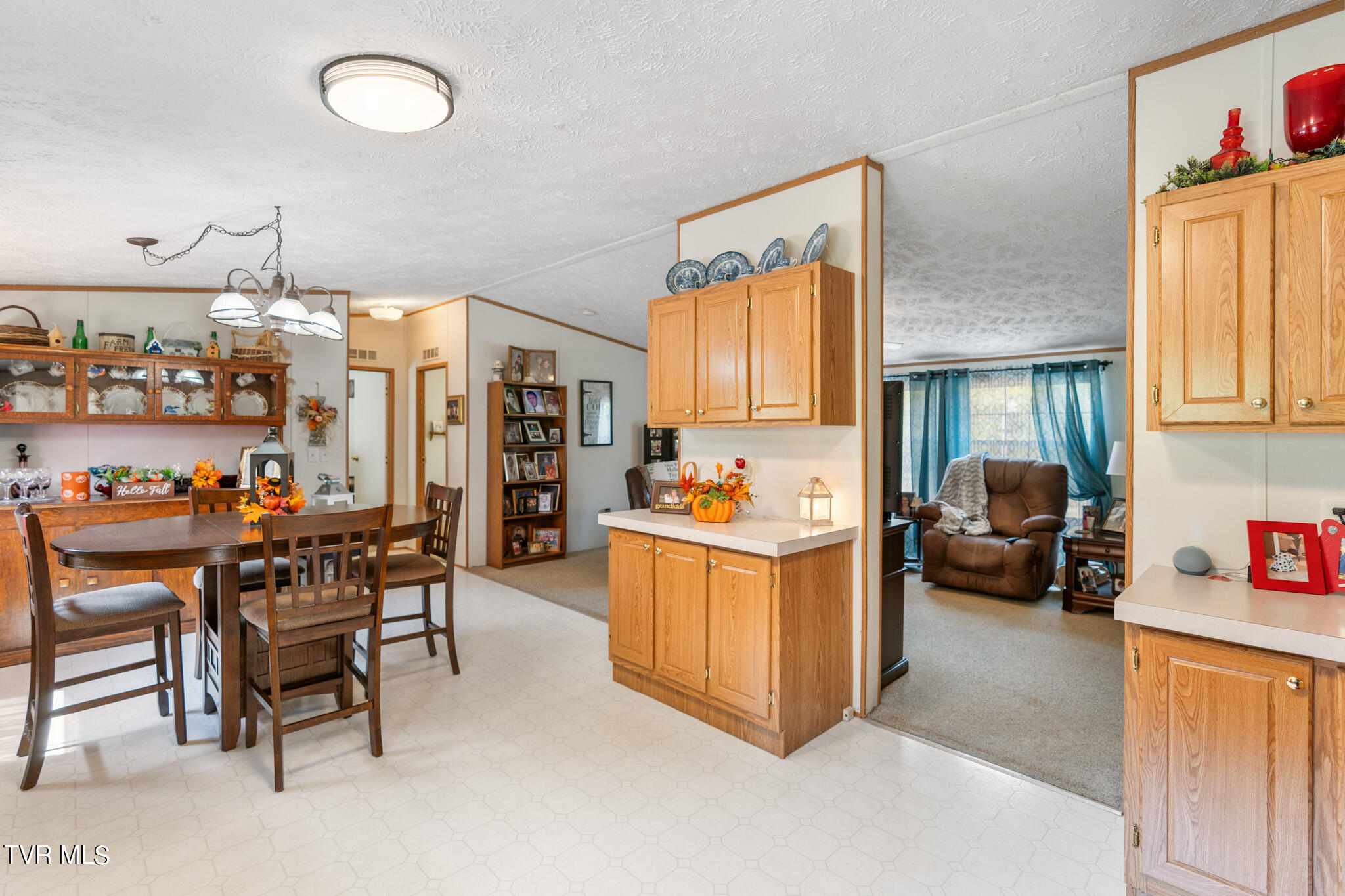 1549 Frank Roberts Road Afton, TN 37616 - Photo 6 of 24 Frank Roberts Rd-15
