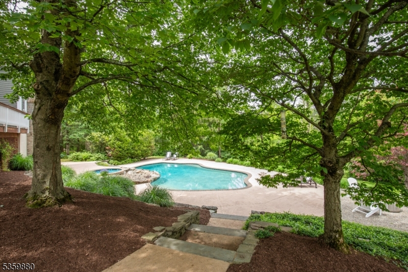 51 Post Kennel Road Bernardsville, NJ 07924 - Photo 39 of 48 a view of a trees with yard