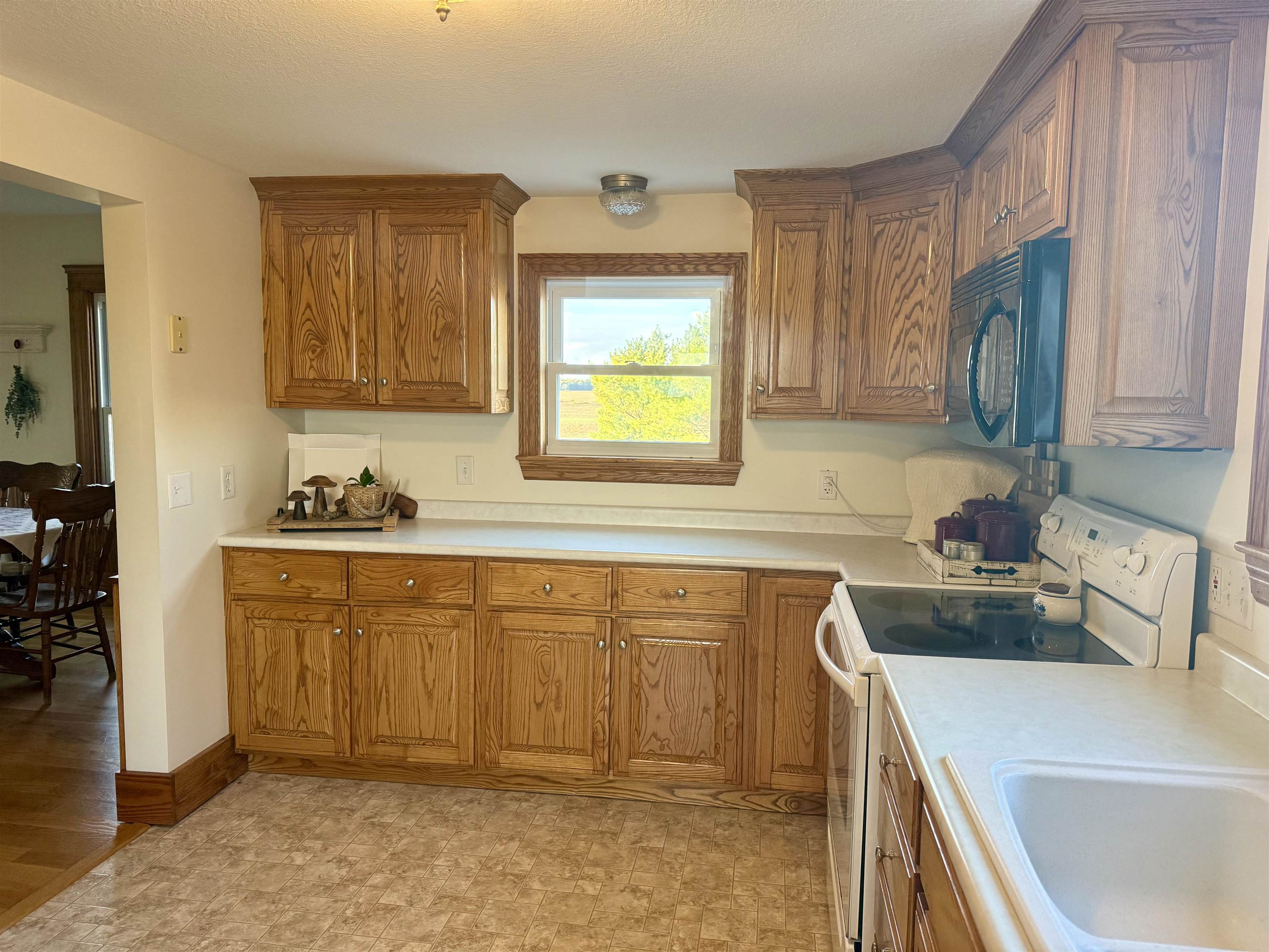 4651 South Begole Road Ithaca, MI 48847 - Photo 15 of 73