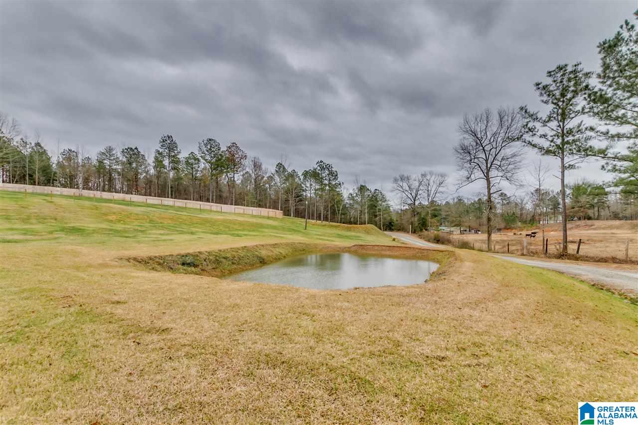 2268 County Road 15 Bankston, AL 35542 - Photo 2 of 29