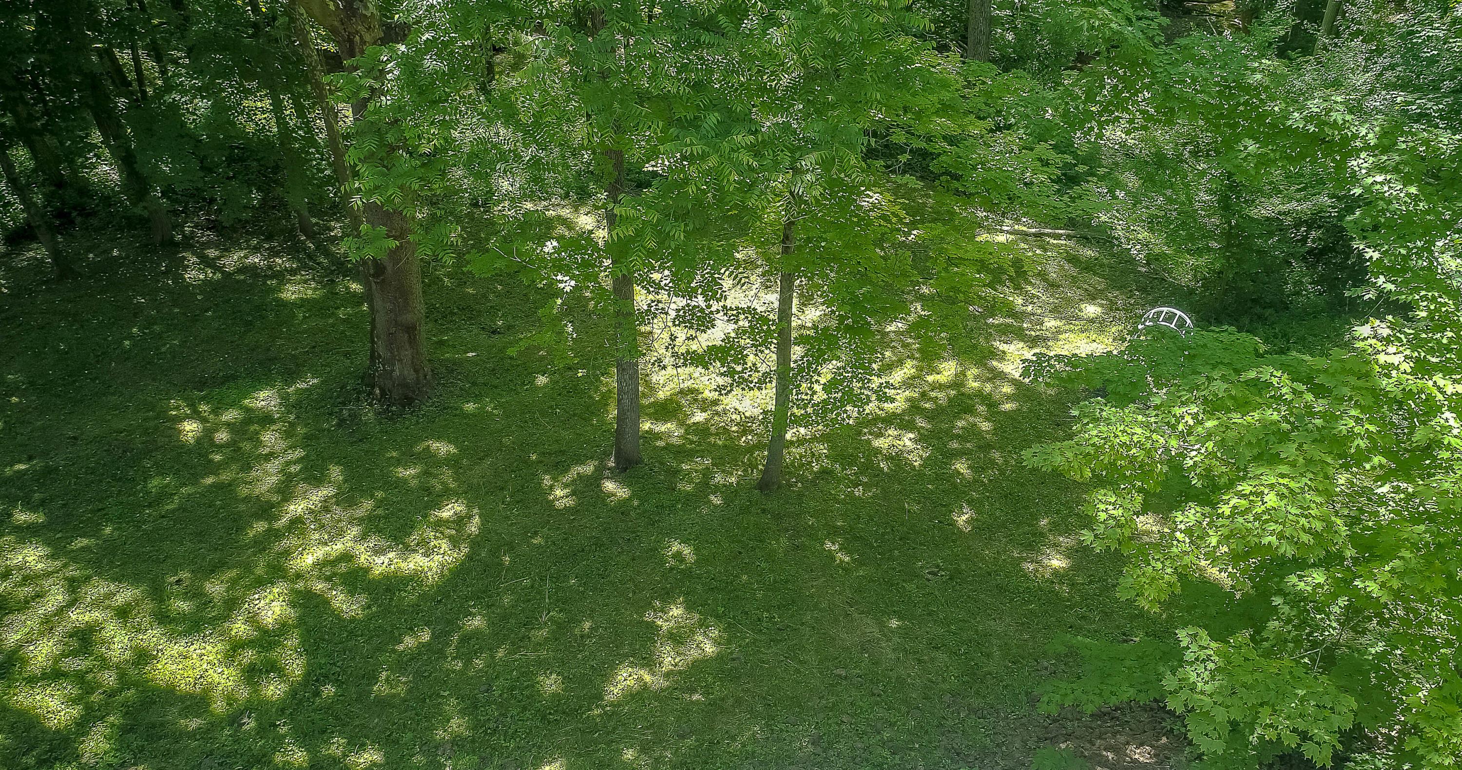 4380 Harlem Road Galena, OH 43021 - Photo 86 of 109 Gallery Image 86
