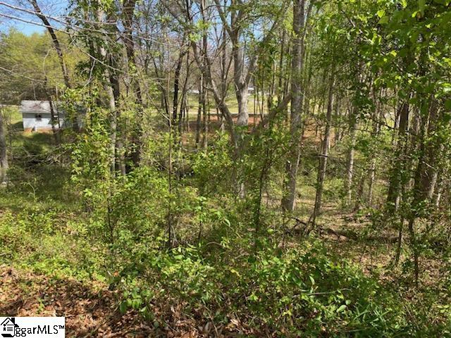 1131 Lake Cunningham Road, Unit LOT 25 Greer, SC 29651 - Photo 2 of 2