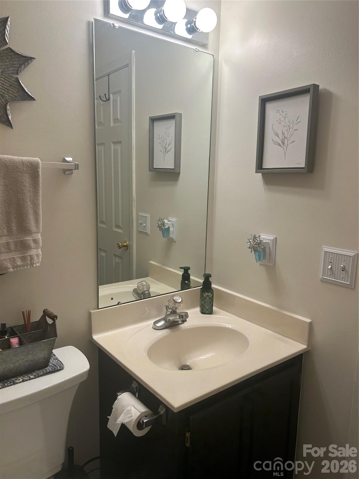 110 Shenandoah Loop Troutman, NC 28166 - Photo 16 of 24 a bathroom with a sink and a mirror