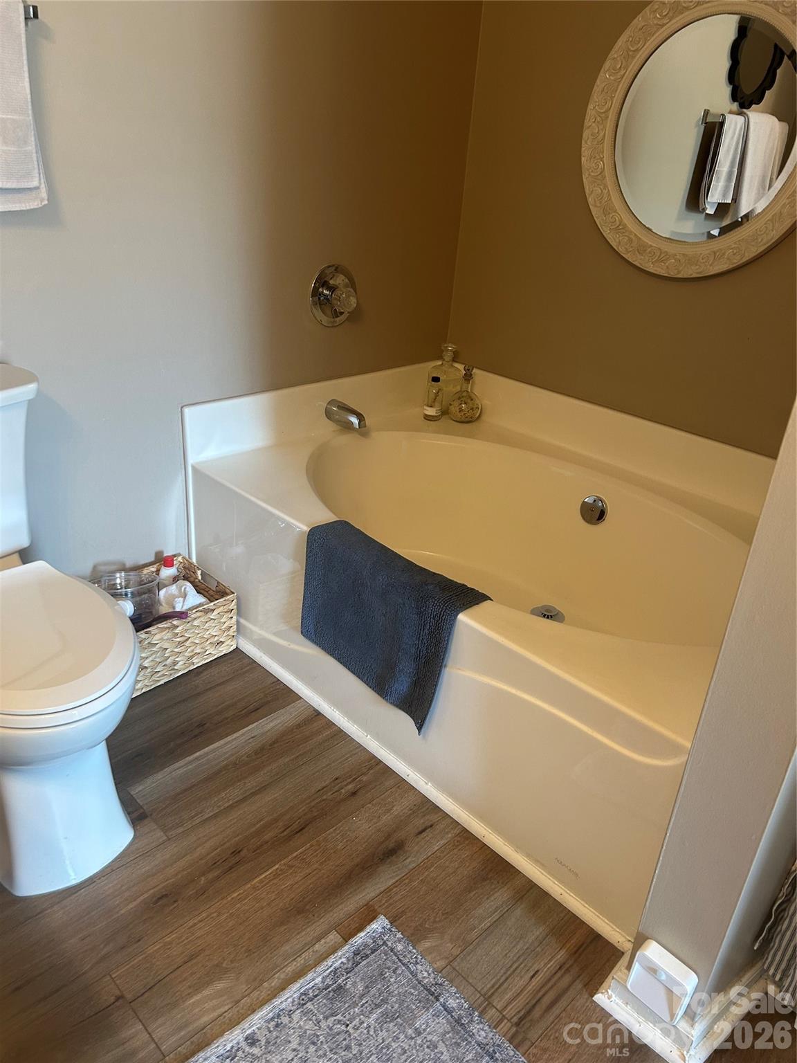 110 Shenandoah Loop Troutman, NC 28166 - Photo 18 of 24 a bathroom with a sink and a toilet