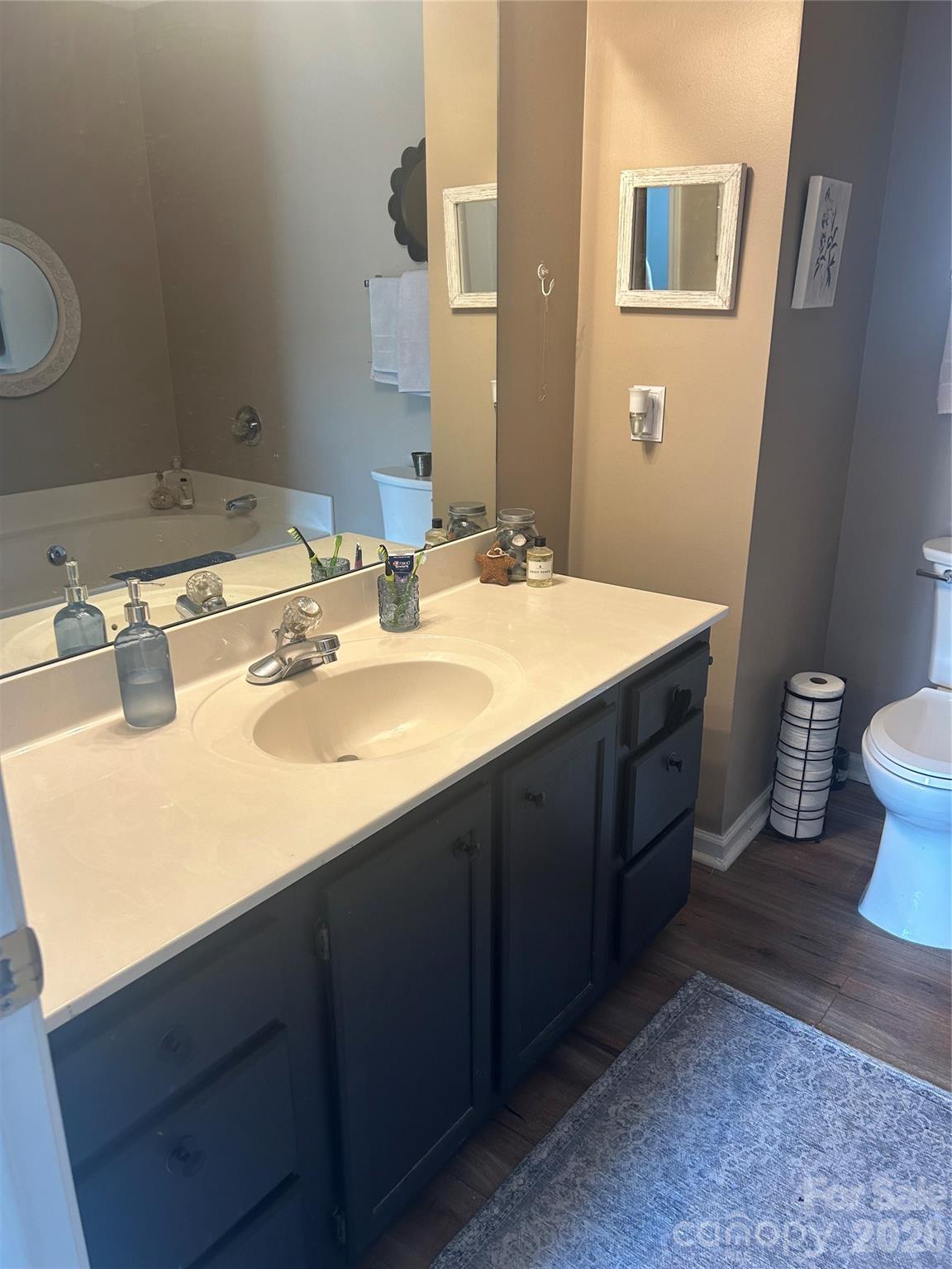 110 Shenandoah Loop Troutman, NC 28166 - Photo 20 of 24 a bathroom with a sink double vanity and a toilet