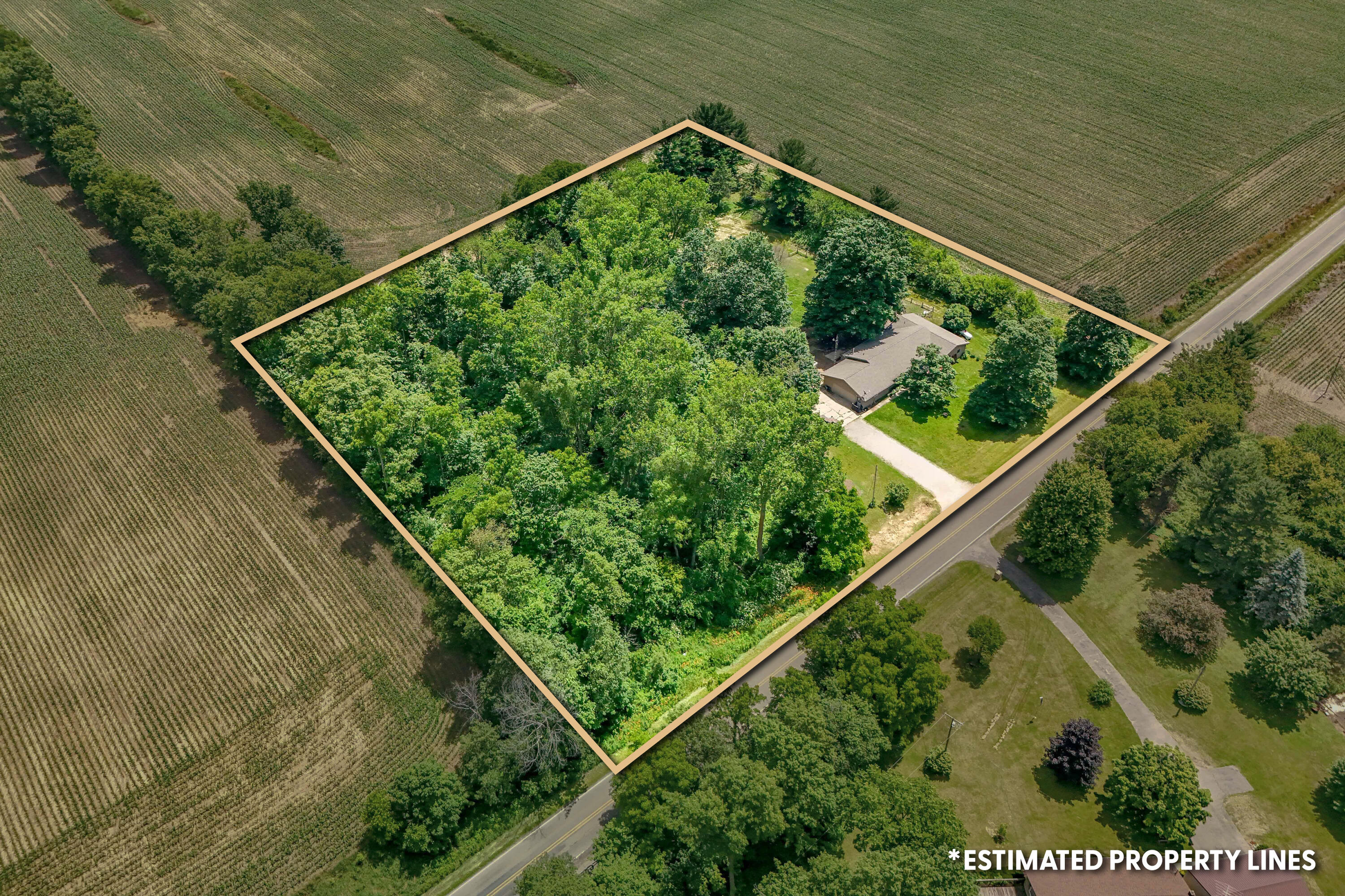 7051 Long Lake Road Reading, MI 49274 - Photo 6 of 54
