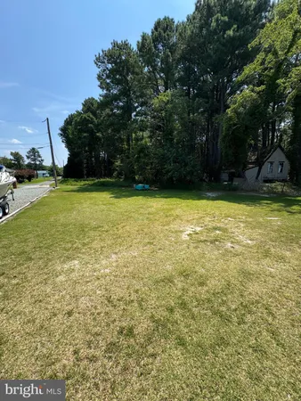 a view of a yard with a trees