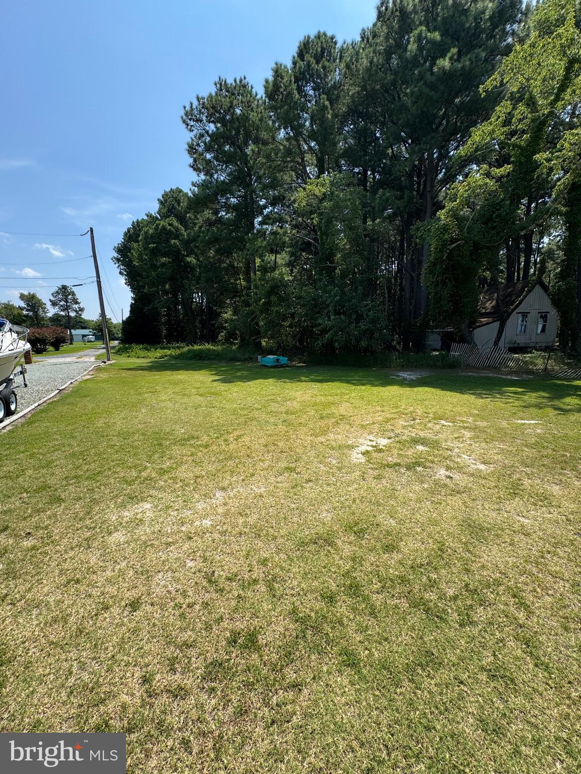 Parcels B & C Parcels B & C Rolfe Lane Deal Island, MD 21821 - Photo 2 of 8 a view of a yard with a trees