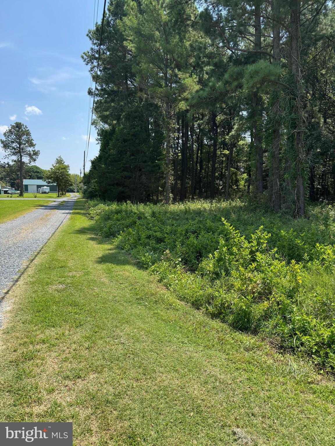 Parcels B & C Parcels B & C Rolfe Lane Deal Island, MD 21821 - Photo 6 of 8 a view of outdoor space