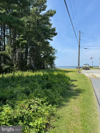 a view of an outdoor space and a yard