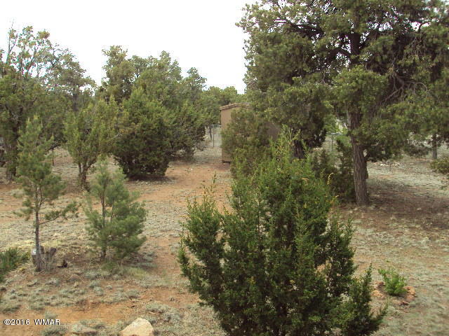 2052 Rendezvous Pine Drive Overgaard, AZ 85933 - Photo 17 of 29