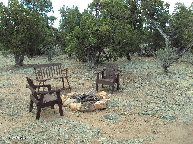 2052 Rendezvous Pine Drive Overgaard, AZ 85933 - Photo 19 of 29