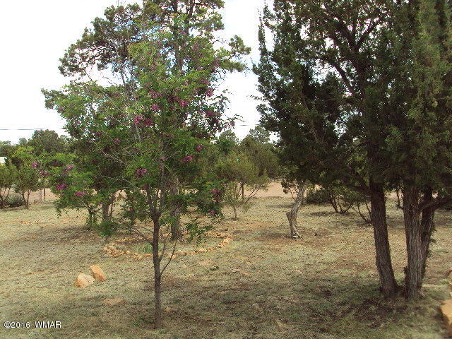 2052 Rendezvous Pine Drive Overgaard, AZ 85933 - Photo 29 of 29
