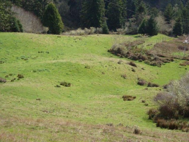 0 Berta Road Eureka, CA 95503 - Photo 9 of 20