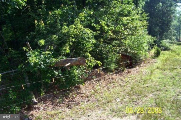 11909 Cedarville Road Brandywine, MD 20613 - Photo 2 of 4 Fenced in lot