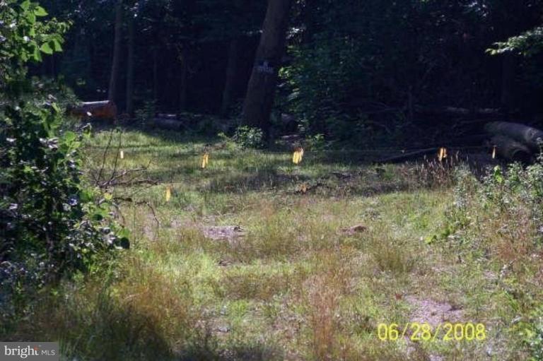 11909 Cedarville Road Brandywine, MD 20613 - Photo 4 of 4 More Fence in Open Space