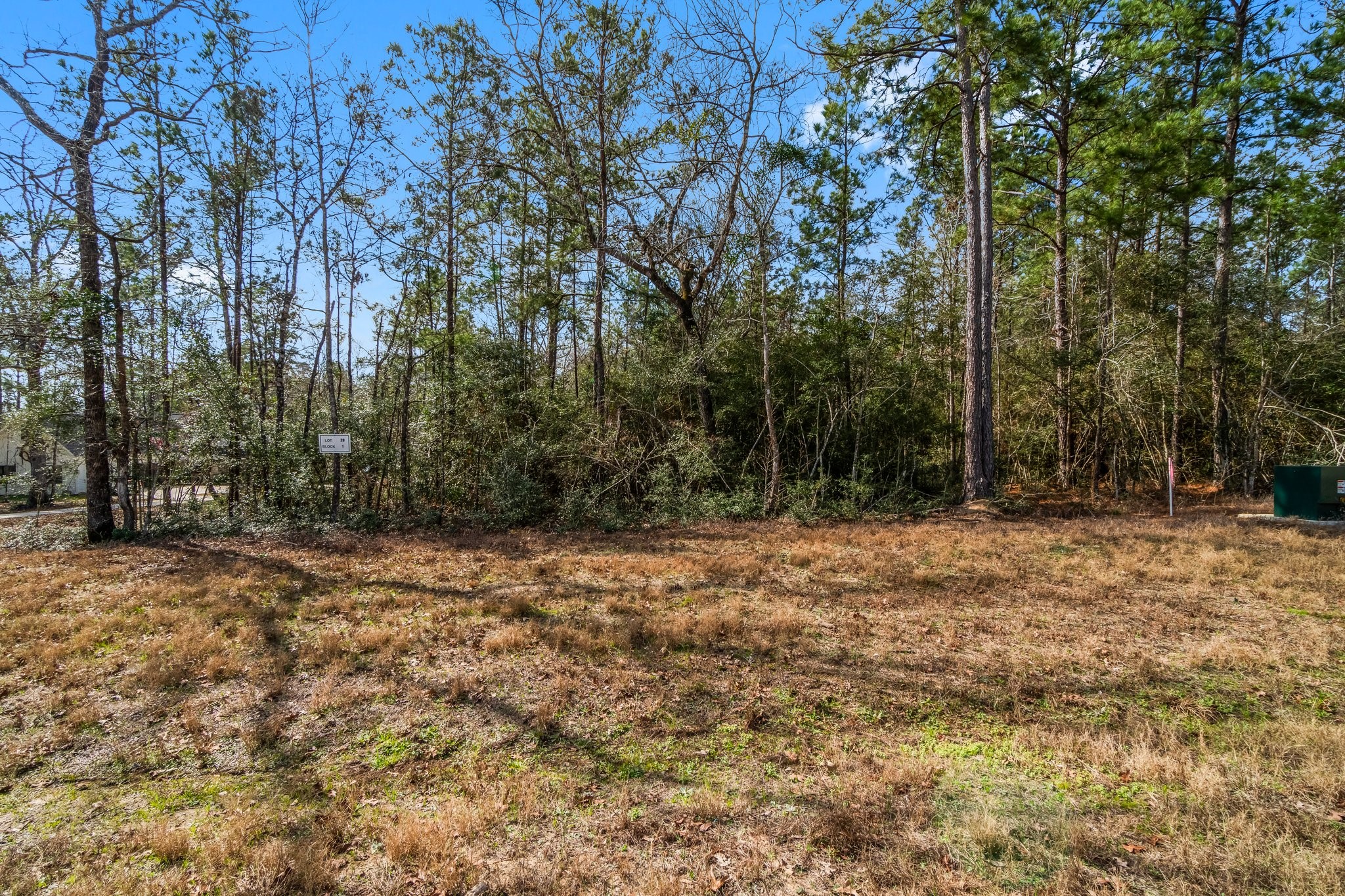 15491 Red Hawk Road Willis, TX 77378 - Photo 11 of 20