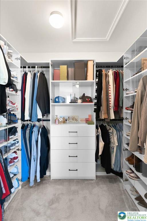 312 Redclover Lane Allentown, PA 18104 - Photo 34 of 60 a view of walk in closet with clothes and shoes