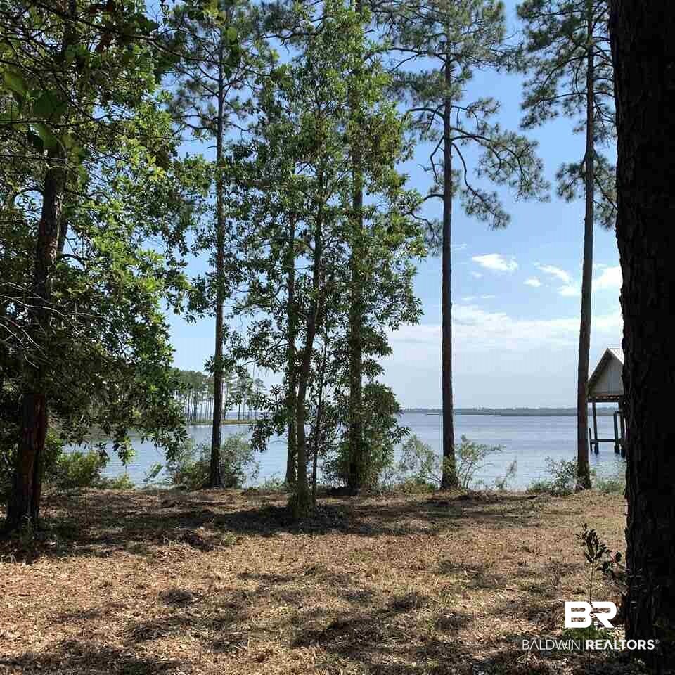 Yucatan Drive Elberta, AL 36530 - Photo 13 of 15