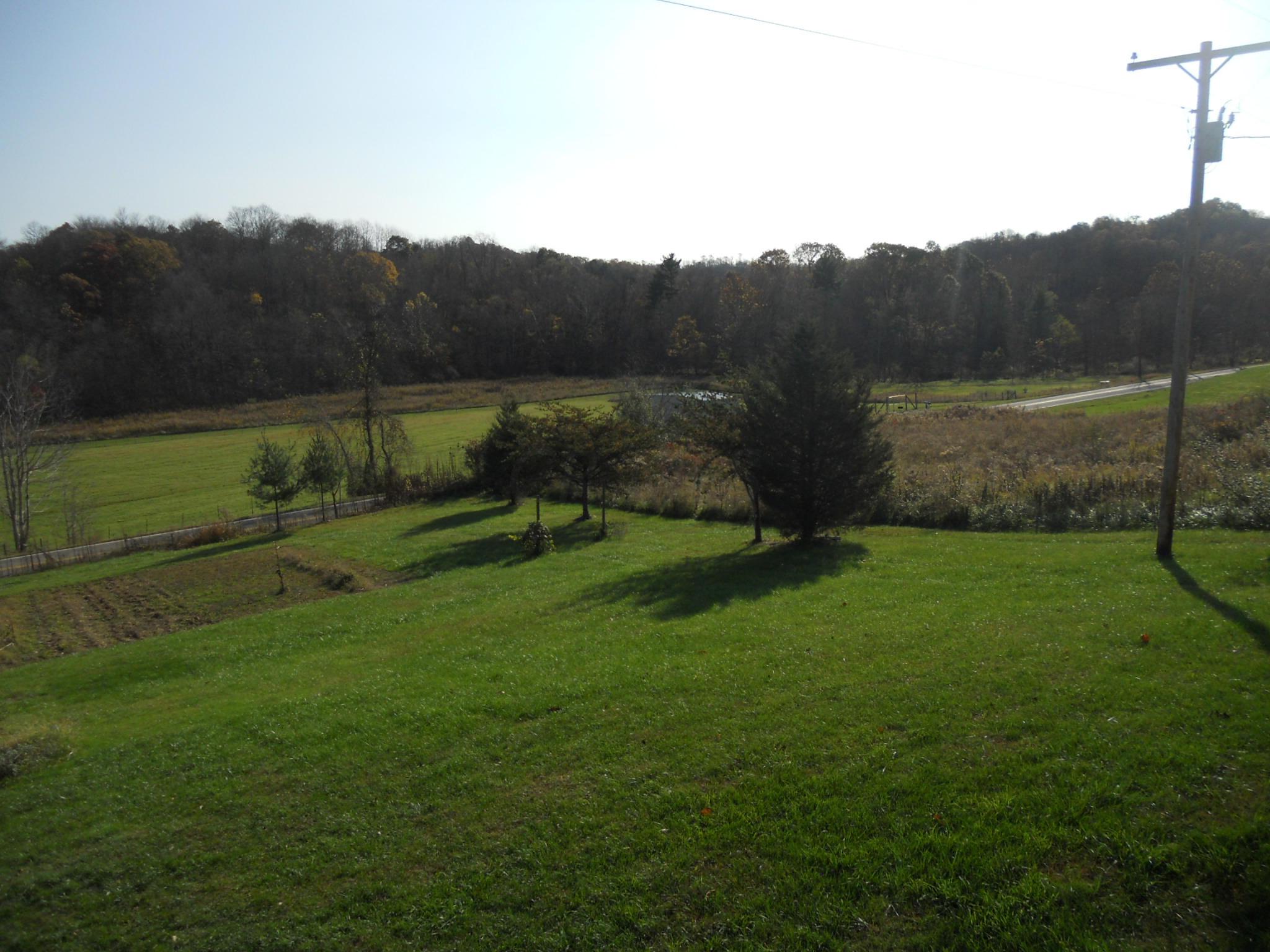 9137 Center Road Blue Rock, OH 43720 - Photo 18 of 29