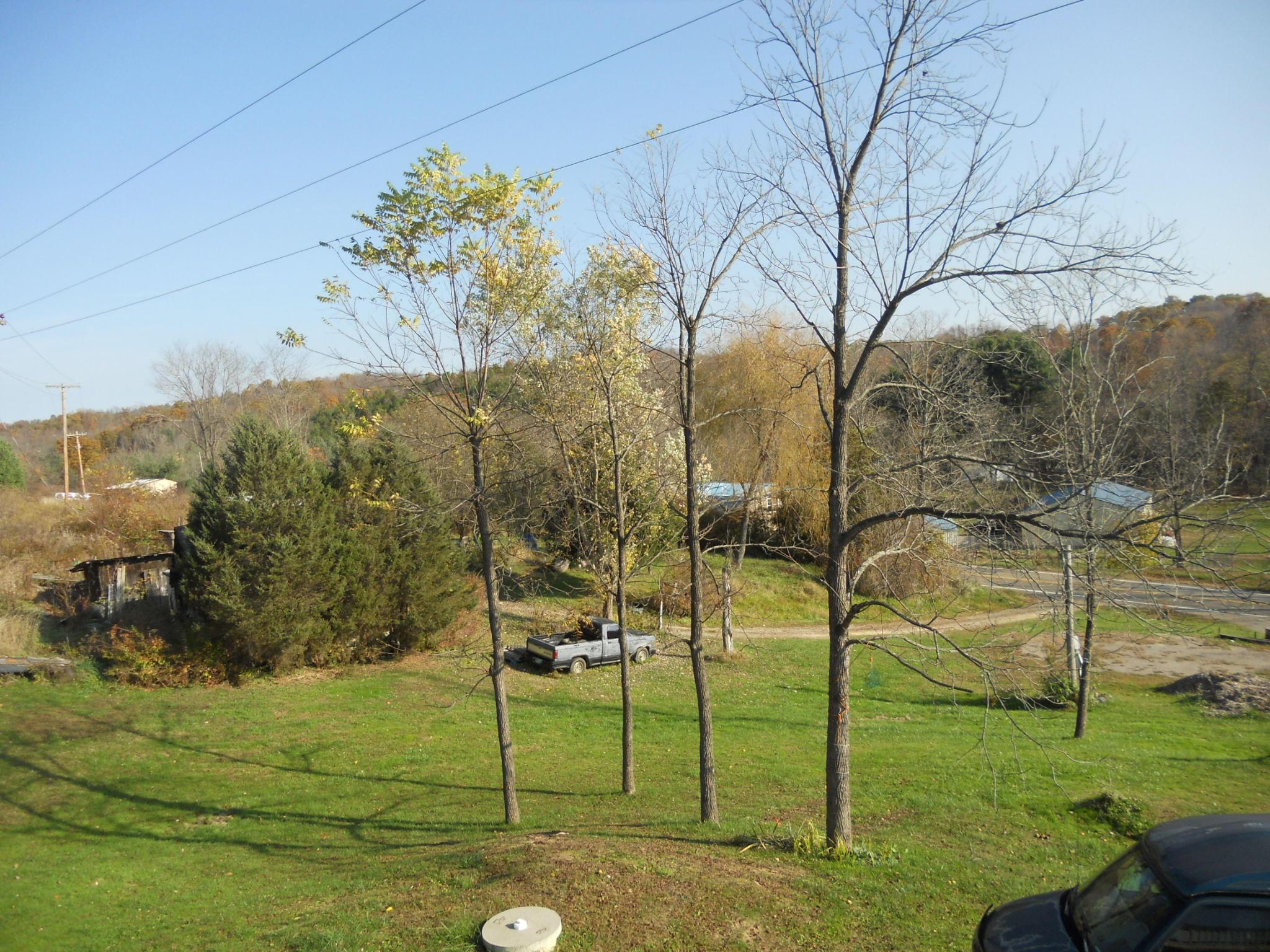 9137 Center Road Blue Rock, OH 43720 - Photo 20 of 29