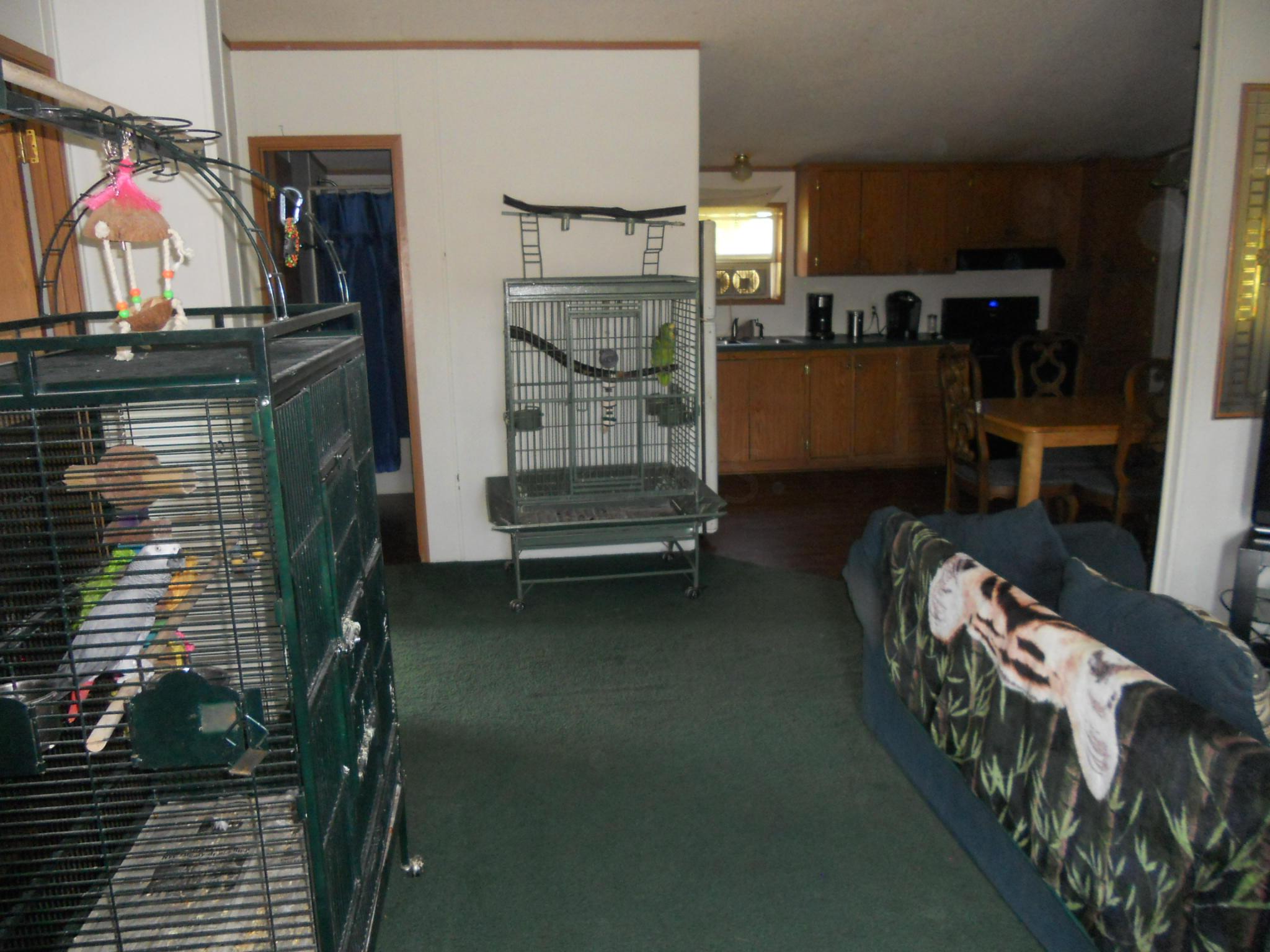 9137 Center Road Blue Rock, OH 43720 - Photo 2 of 29