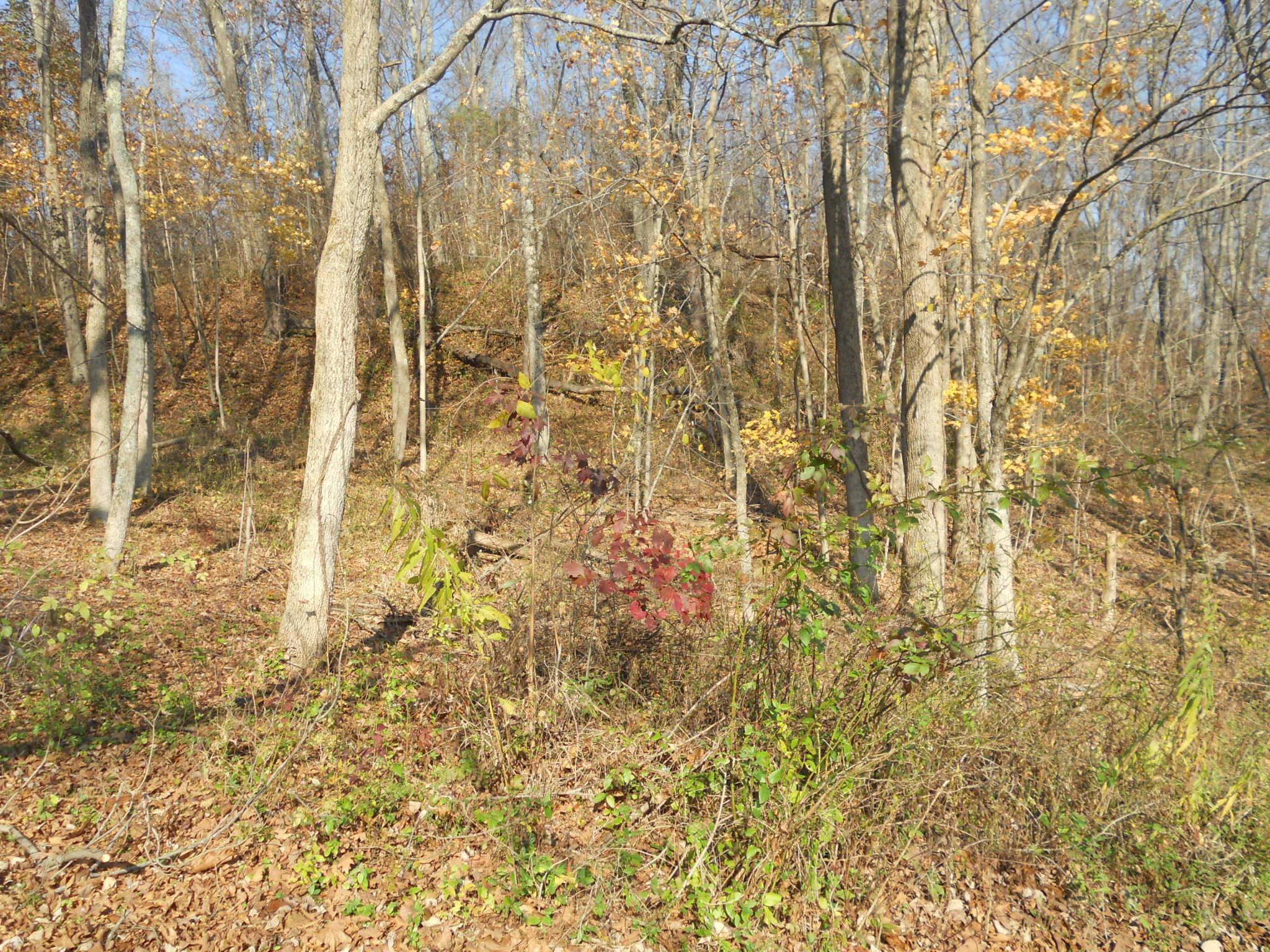 9137 Center Road Blue Rock, OH 43720 - Photo 23 of 29