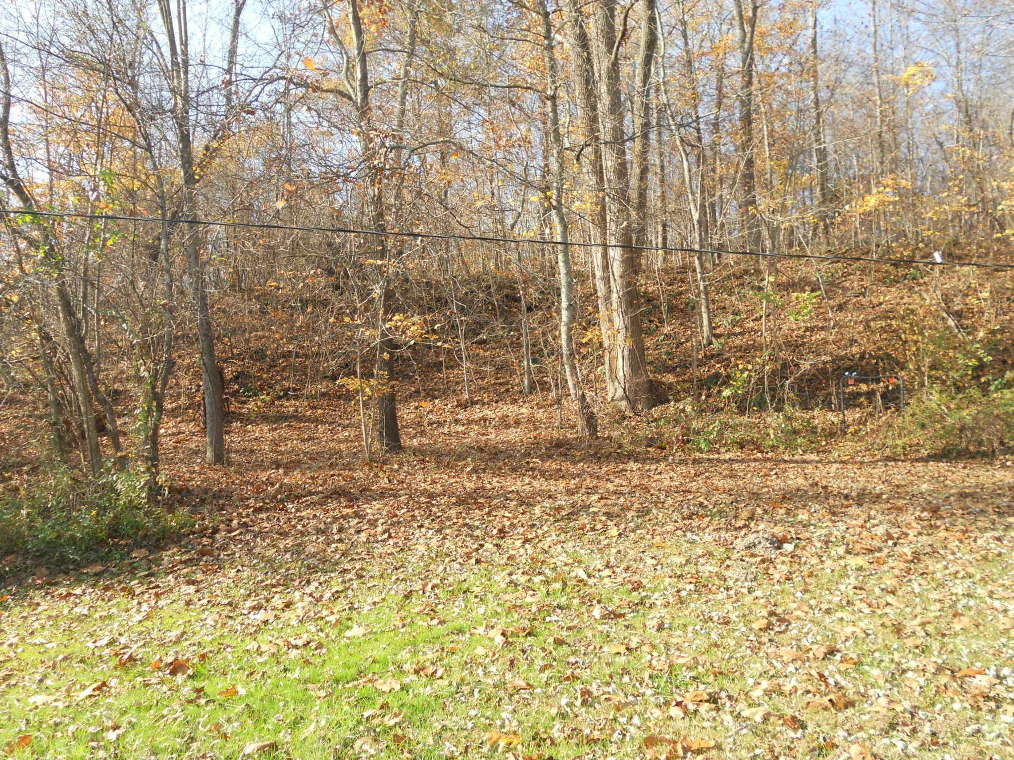 9137 Center Road Blue Rock, OH 43720 - Photo 24 of 29