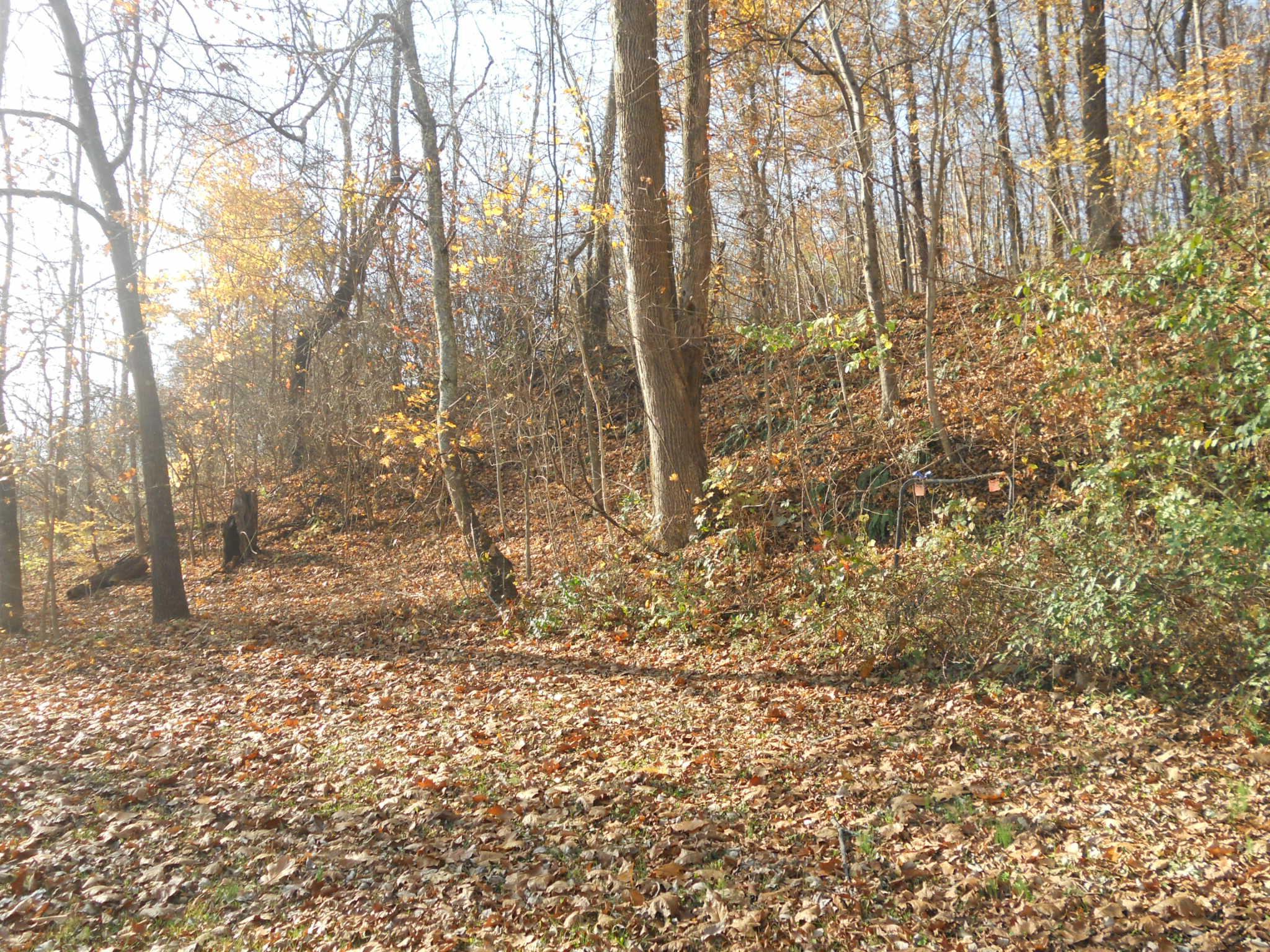 9137 Center Road Blue Rock, OH 43720 - Photo 25 of 29