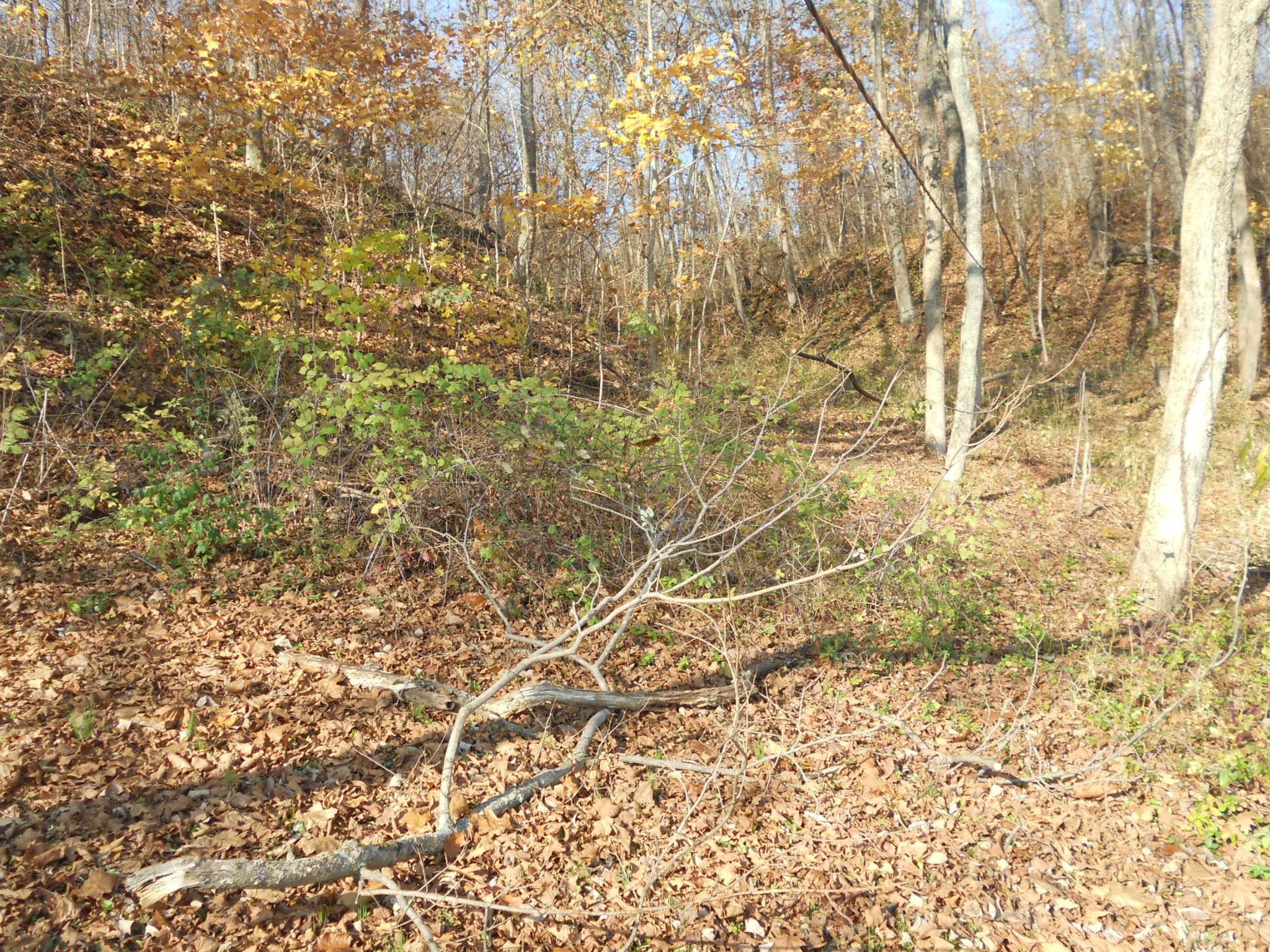 9137 Center Road Blue Rock, OH 43720 - Photo 26 of 29