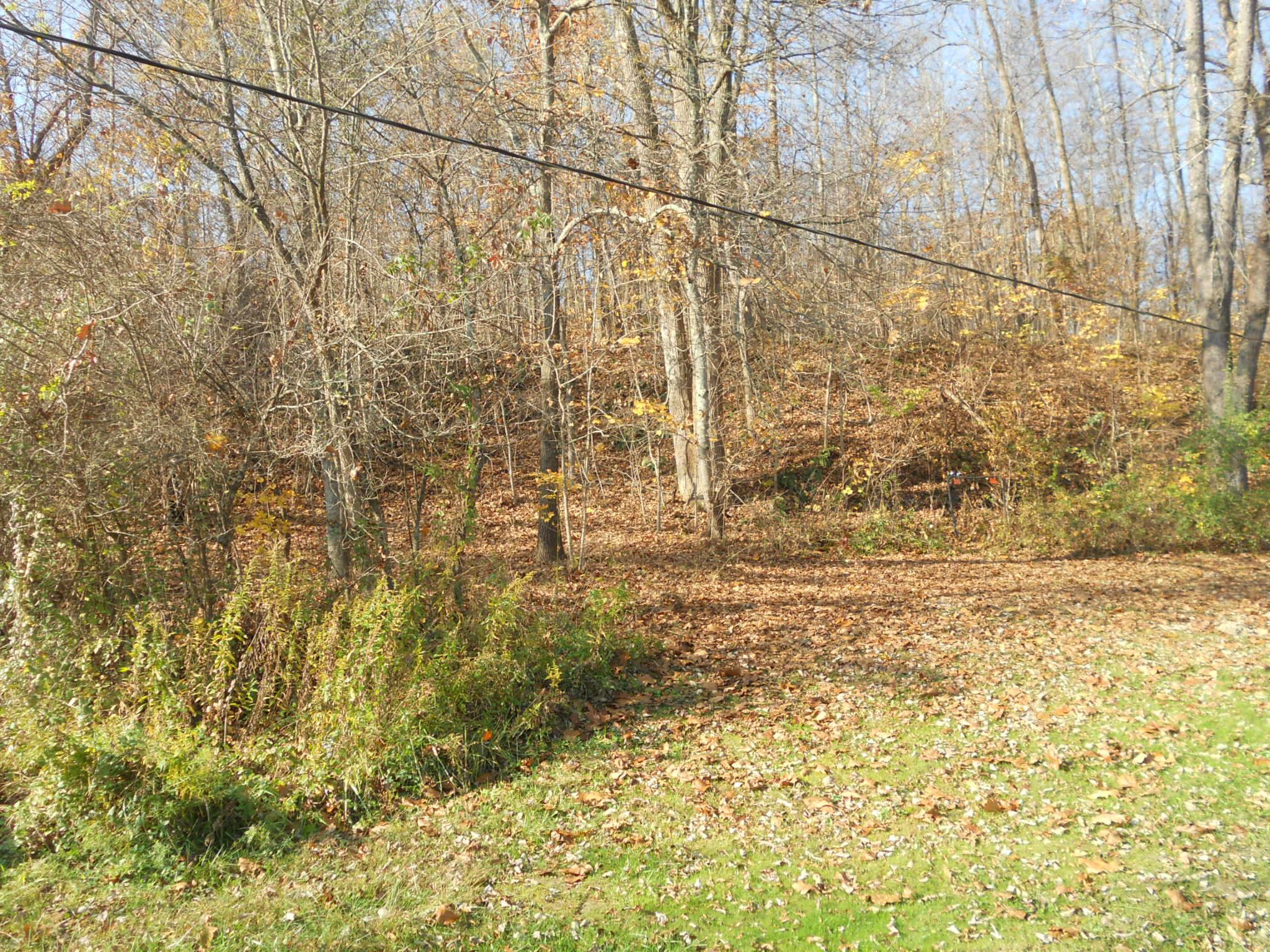 9137 Center Road Blue Rock, OH 43720 - Photo 27 of 29