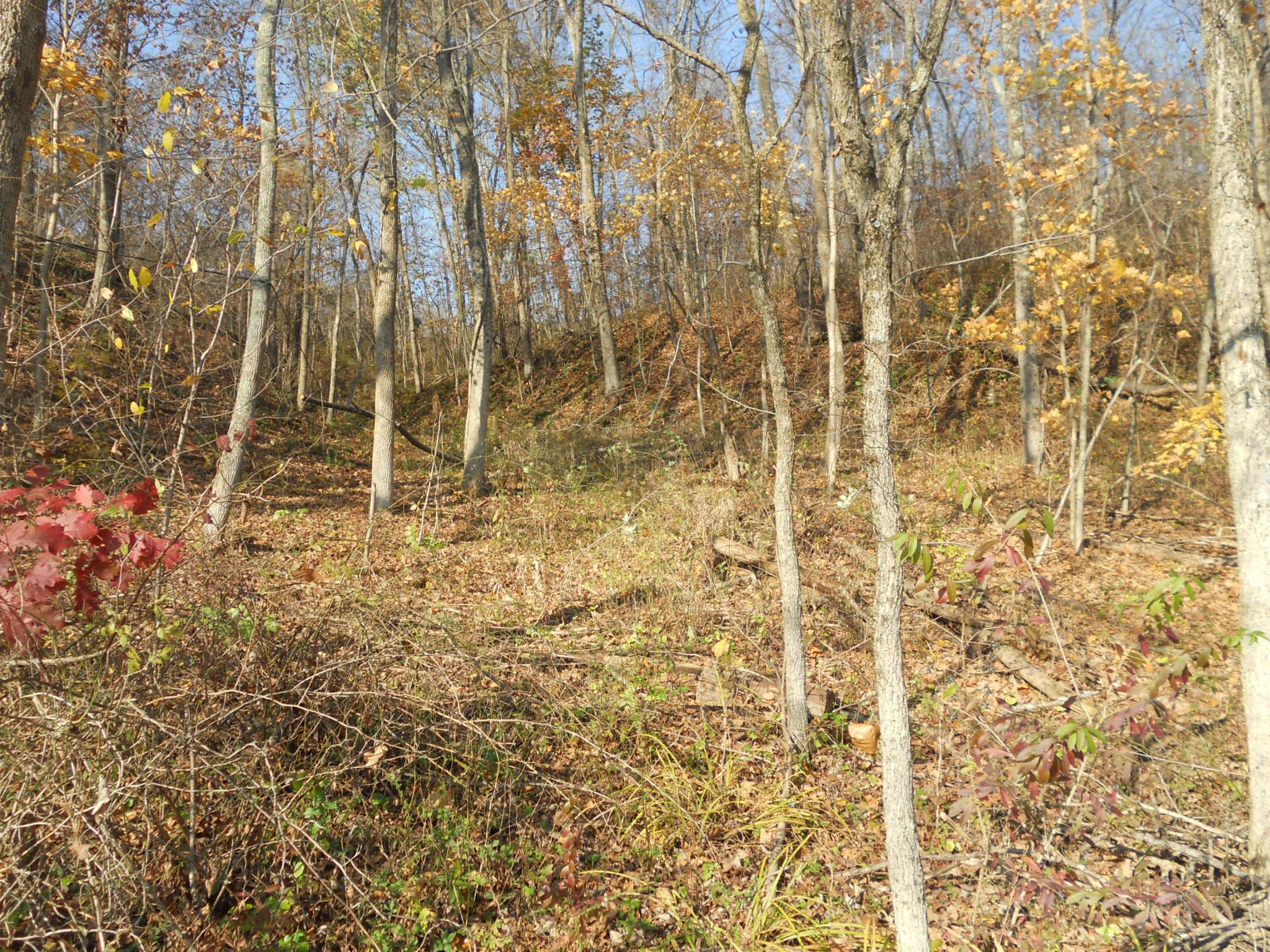 9137 Center Road Blue Rock, OH 43720 - Photo 28 of 29