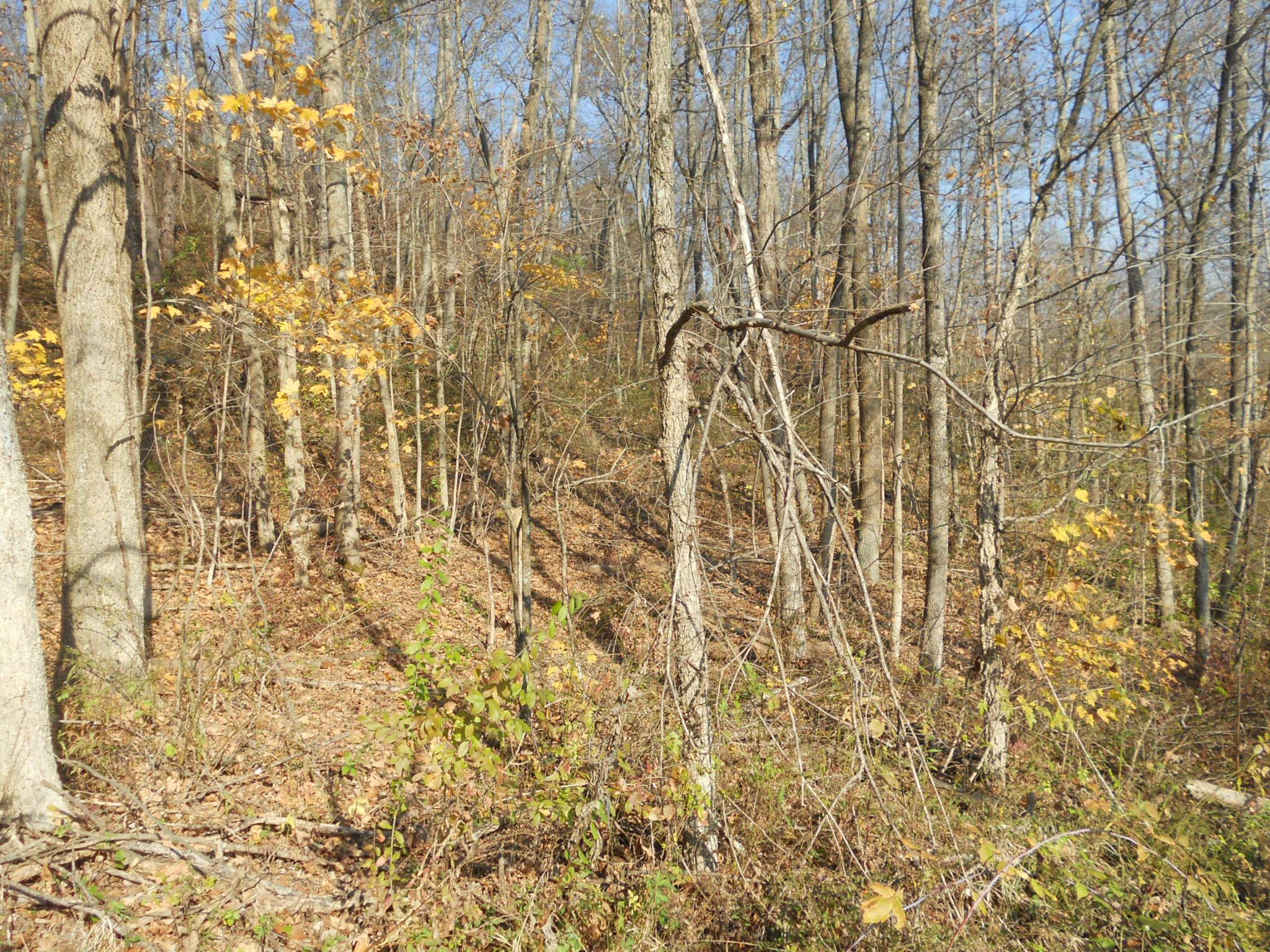 9137 Center Road Blue Rock, OH 43720 - Photo 29 of 29