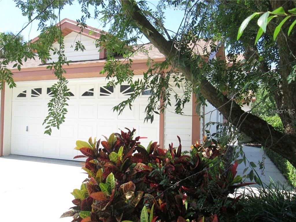 14873 Feather Cove Road Clearwater, FL 33762 - Photo 3 of 25 a picture of flowers