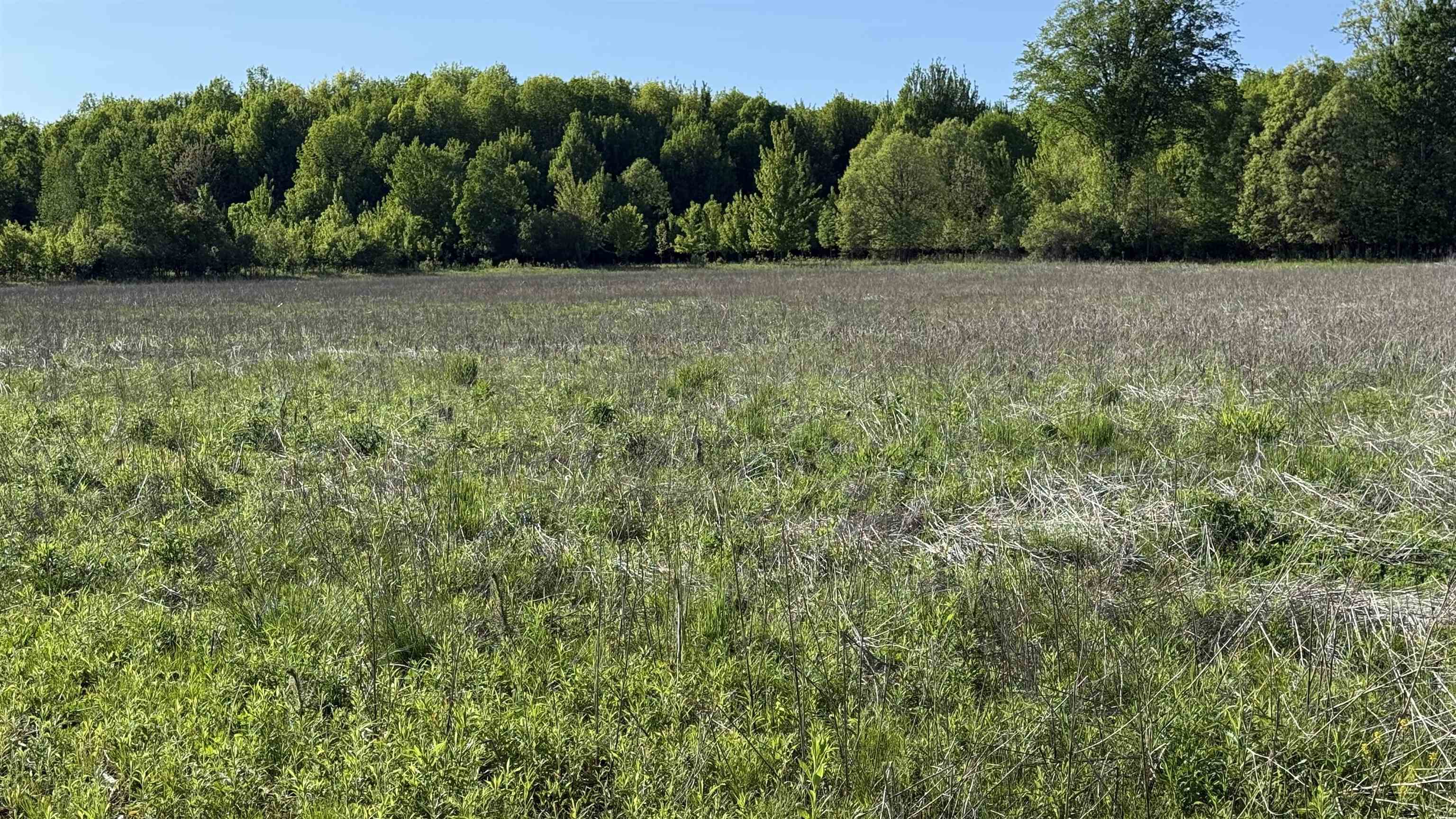 Lot 3 Eau Claire River Road Ringle, WI 54471 - Photo 24 of 28